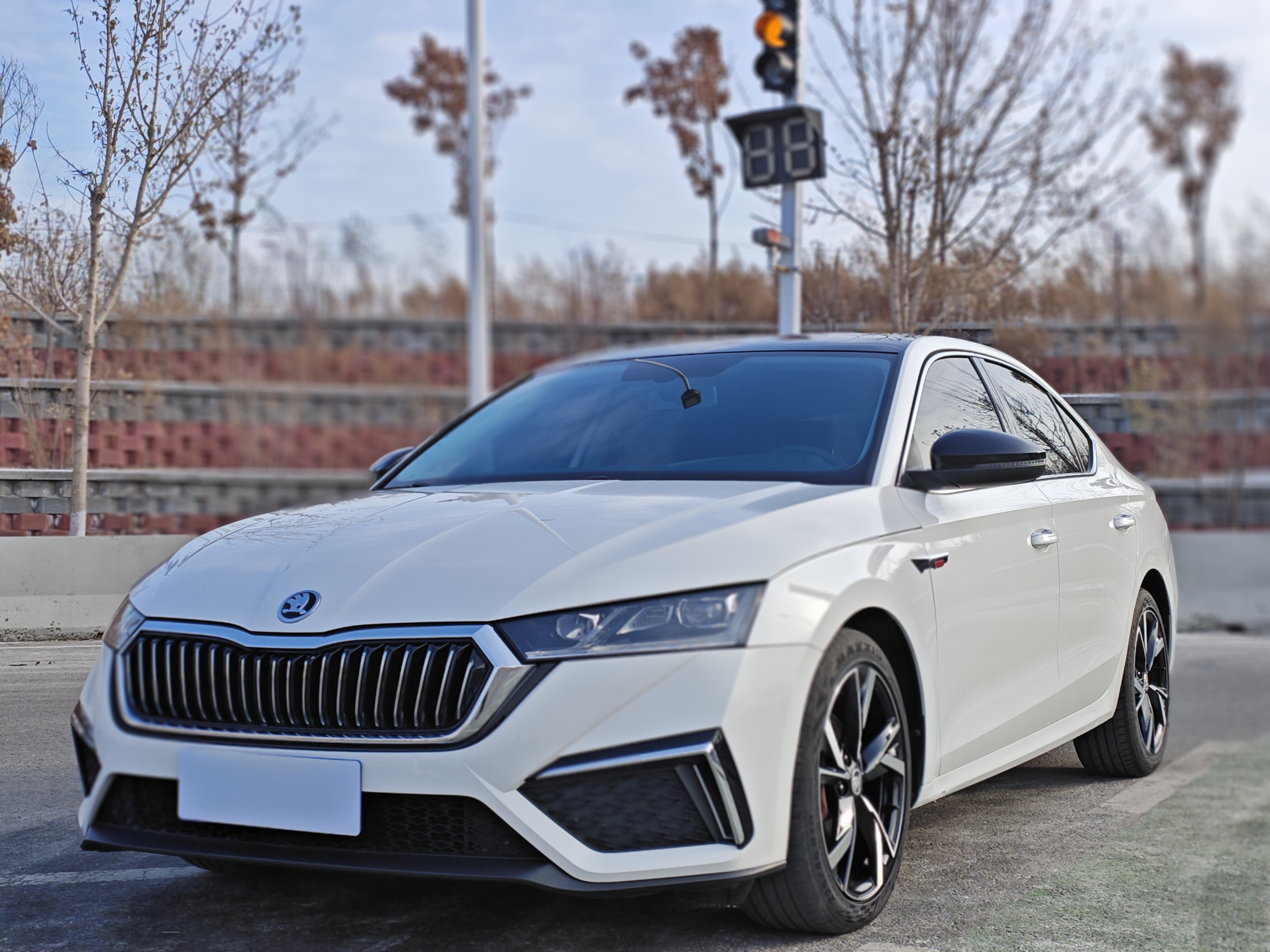 Skoda Octavia 2021 Skoda Octavia 2021 car image