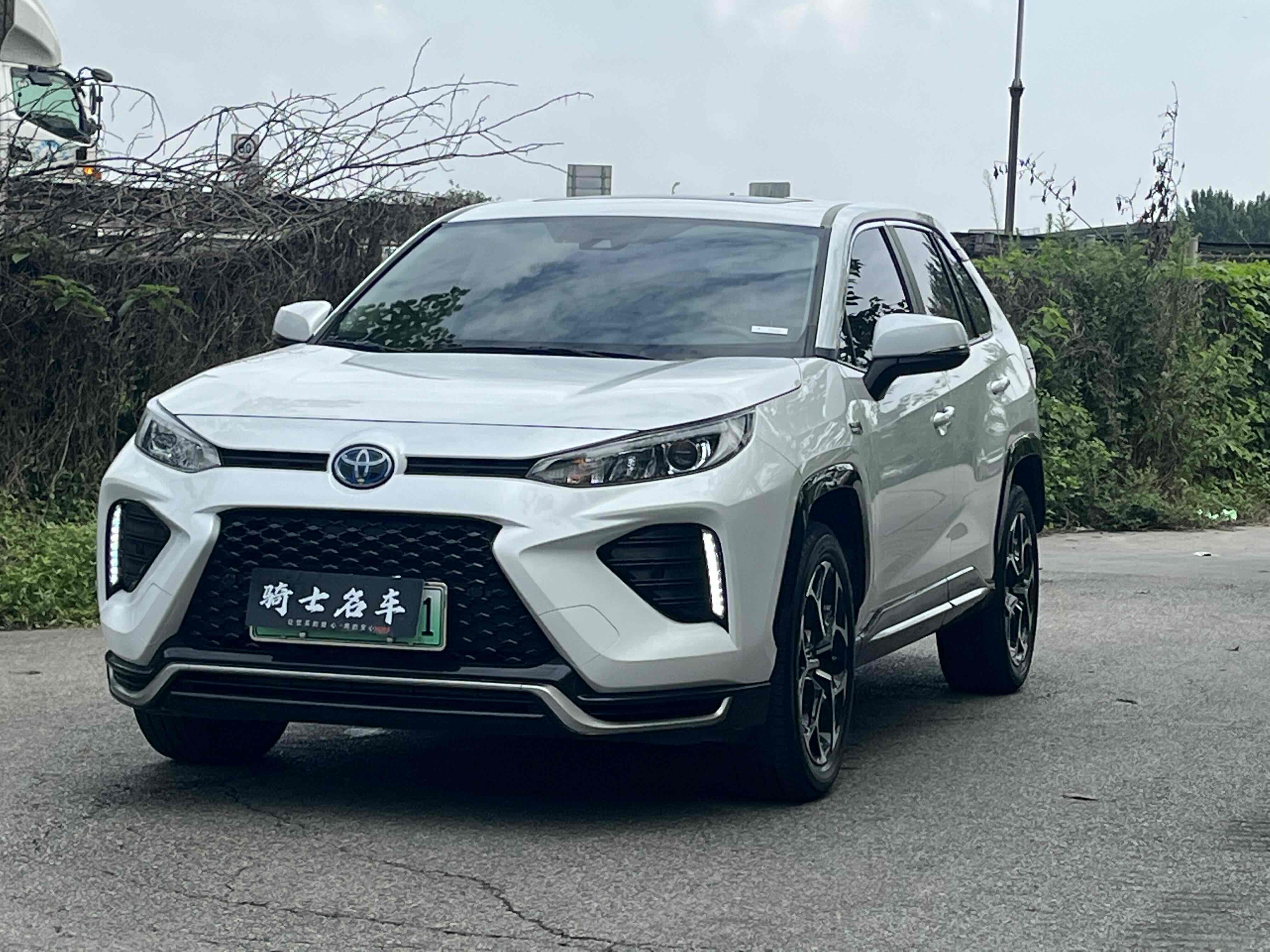 Toyota Wildlander New Energy 2022 car image 