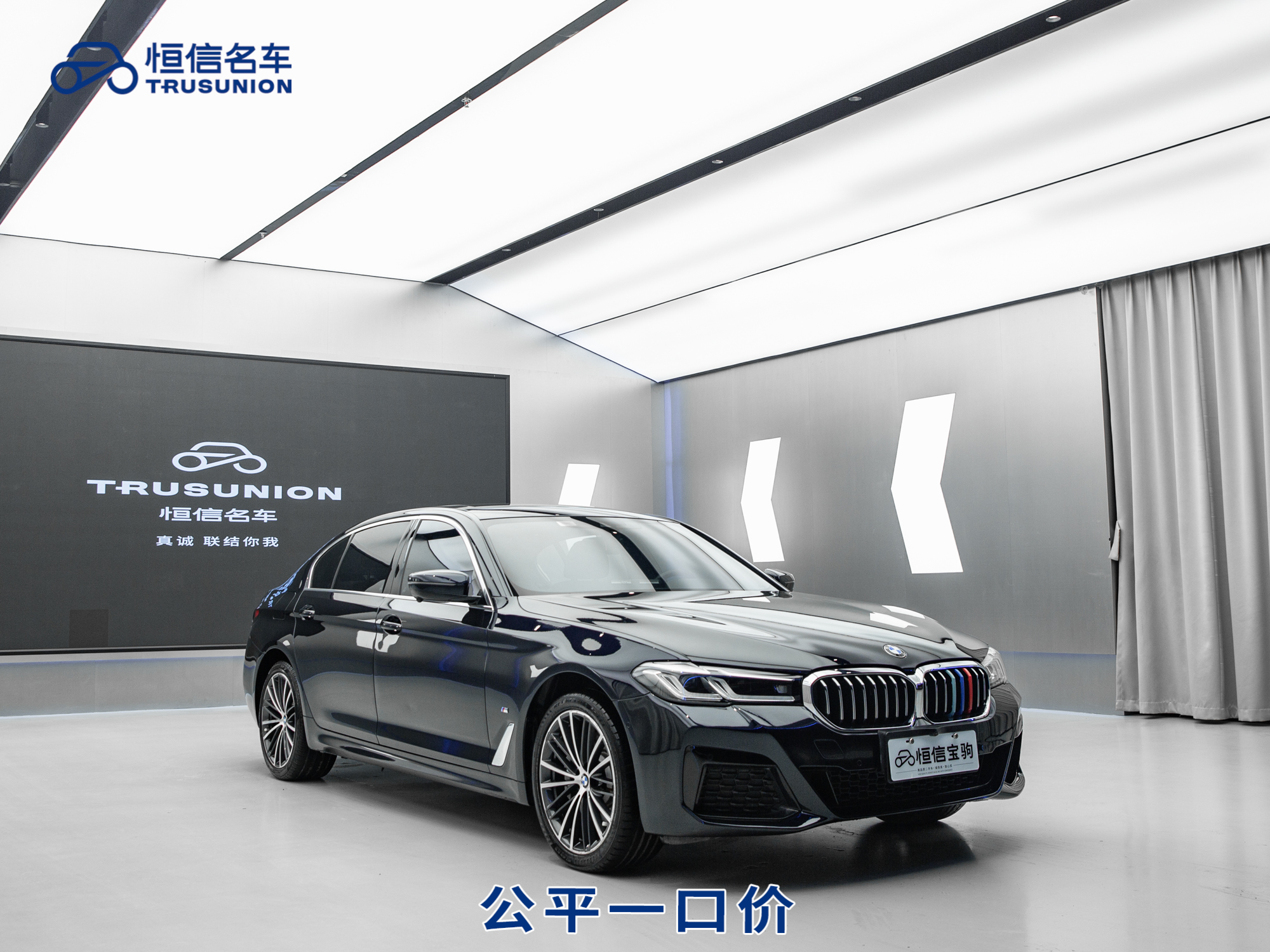 BMW 5 Series 2021 car image 