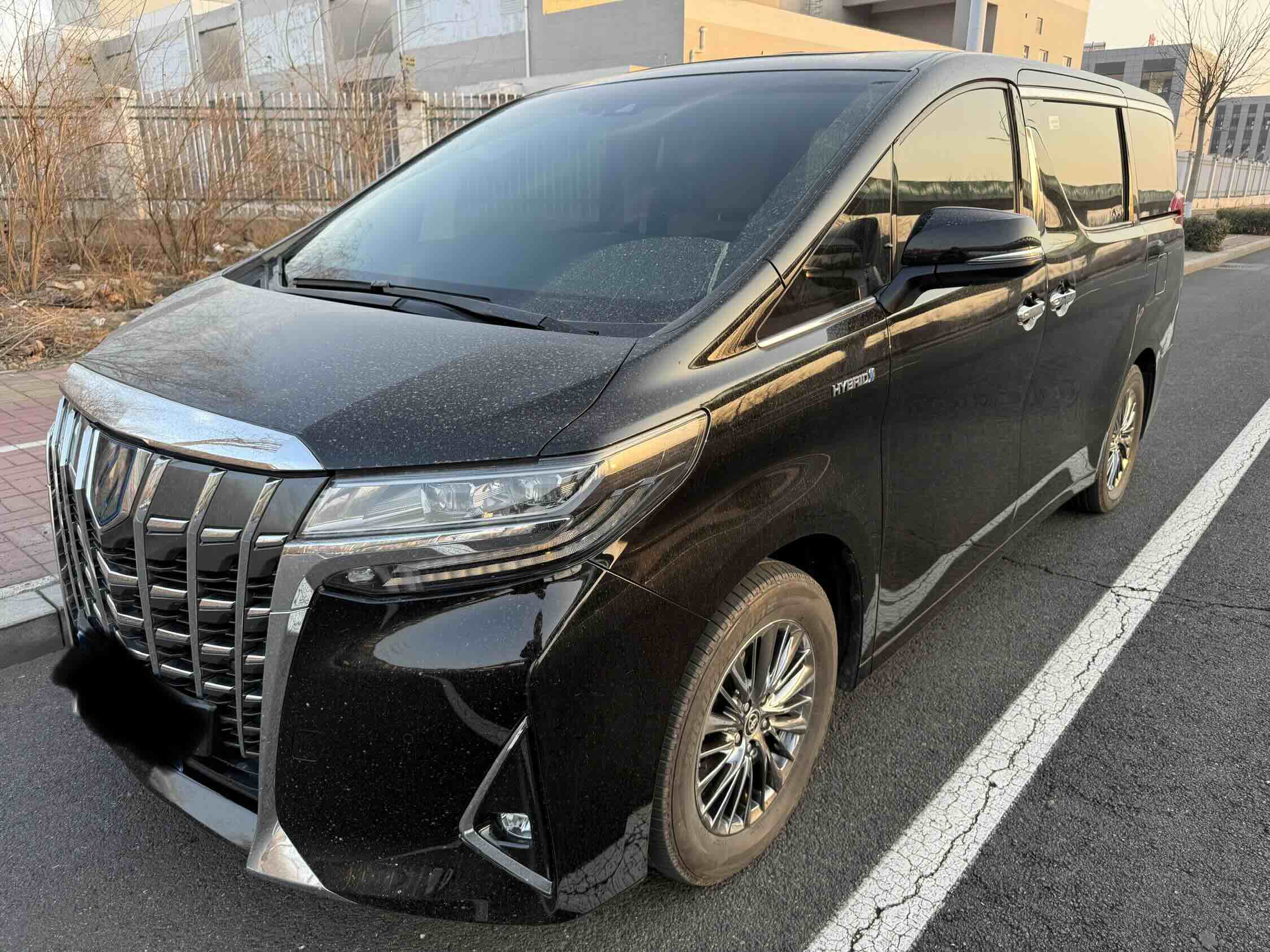 Toyota Alphard 2023 汽车图片 