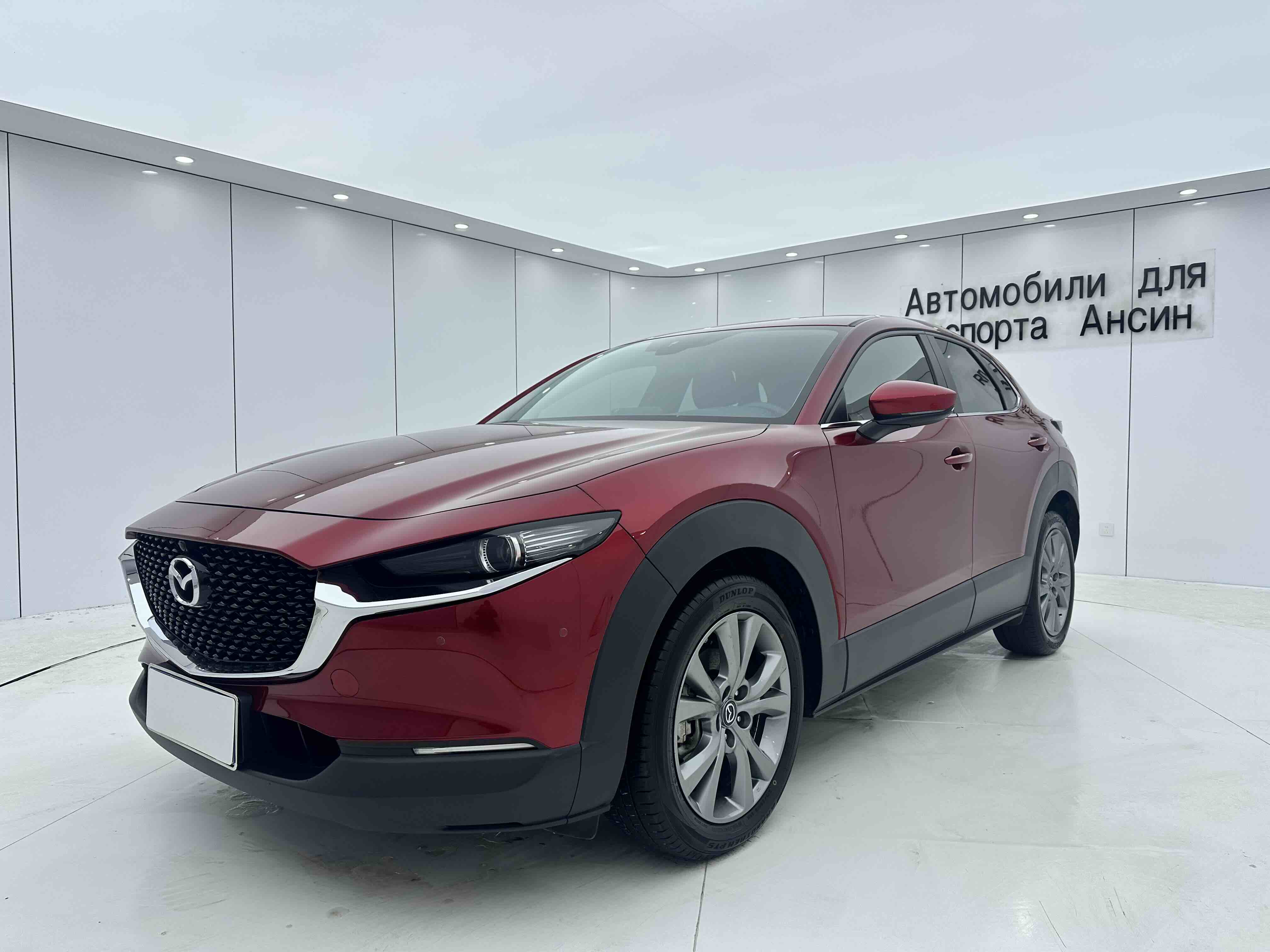 Mazda CX-30 2021 汽车图片 