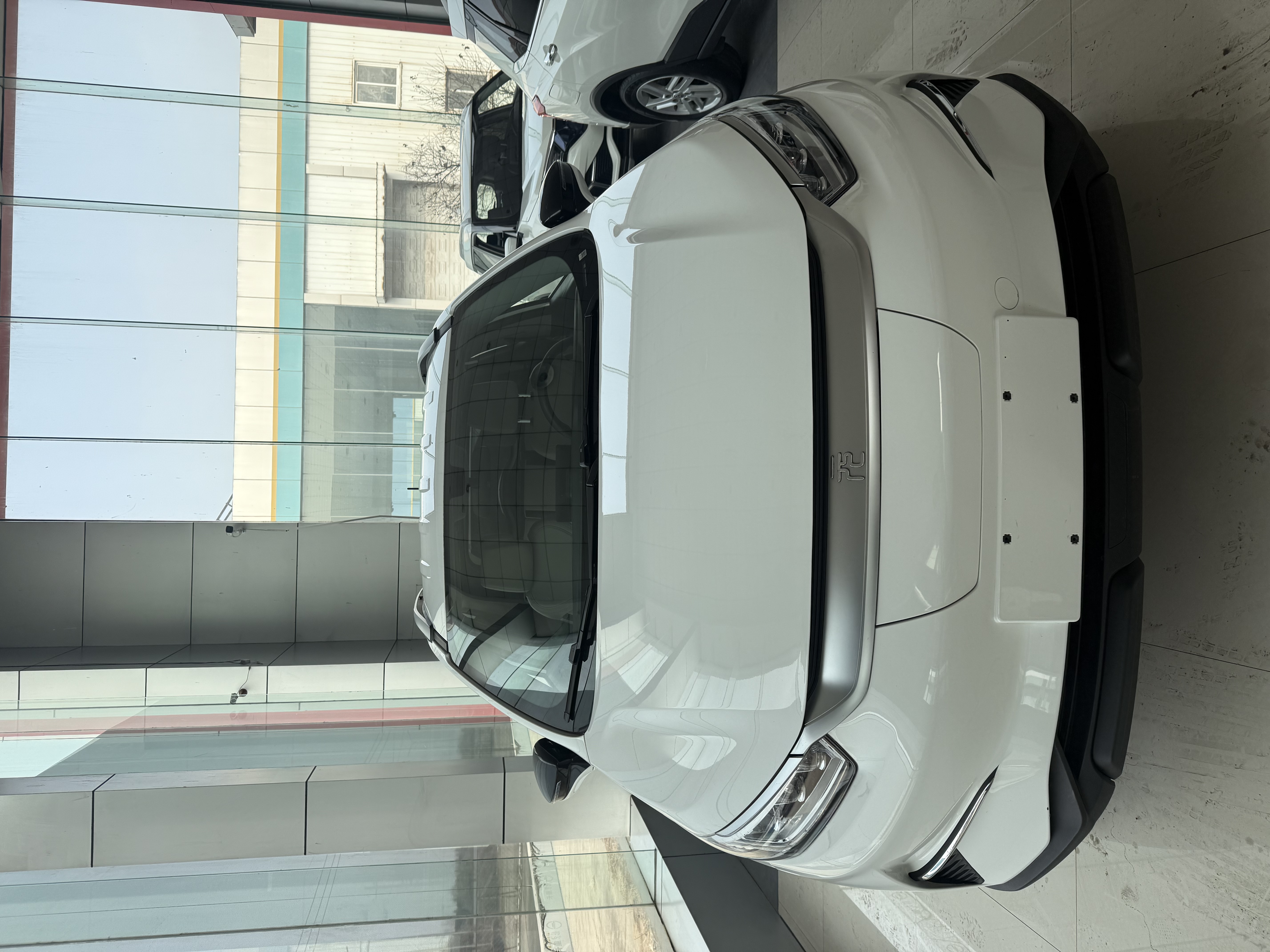 BYD Yuan Pro 2021 immagine di auto 