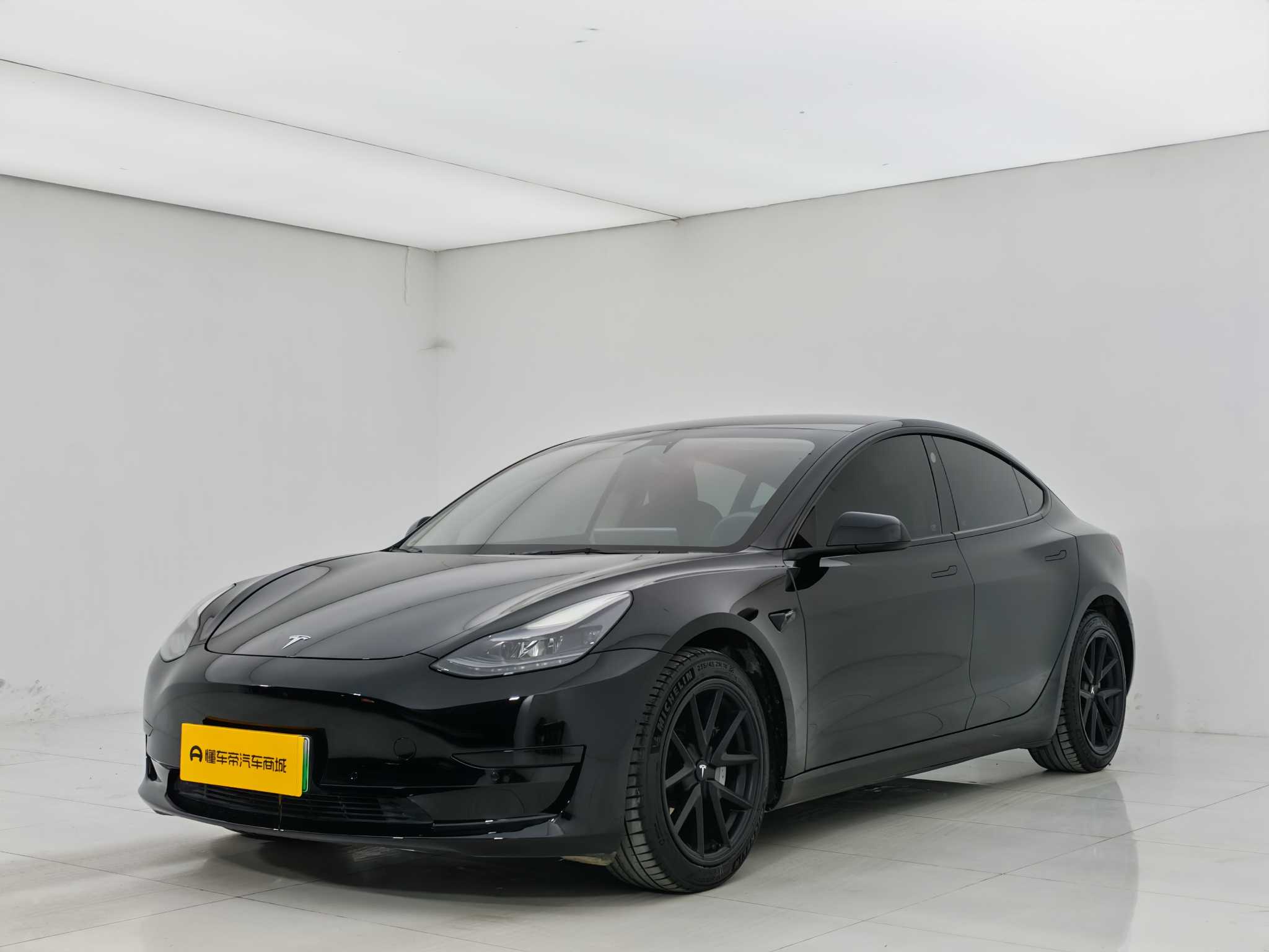 Tesla Model 3 2021 Tesla Model 3 2021 car image