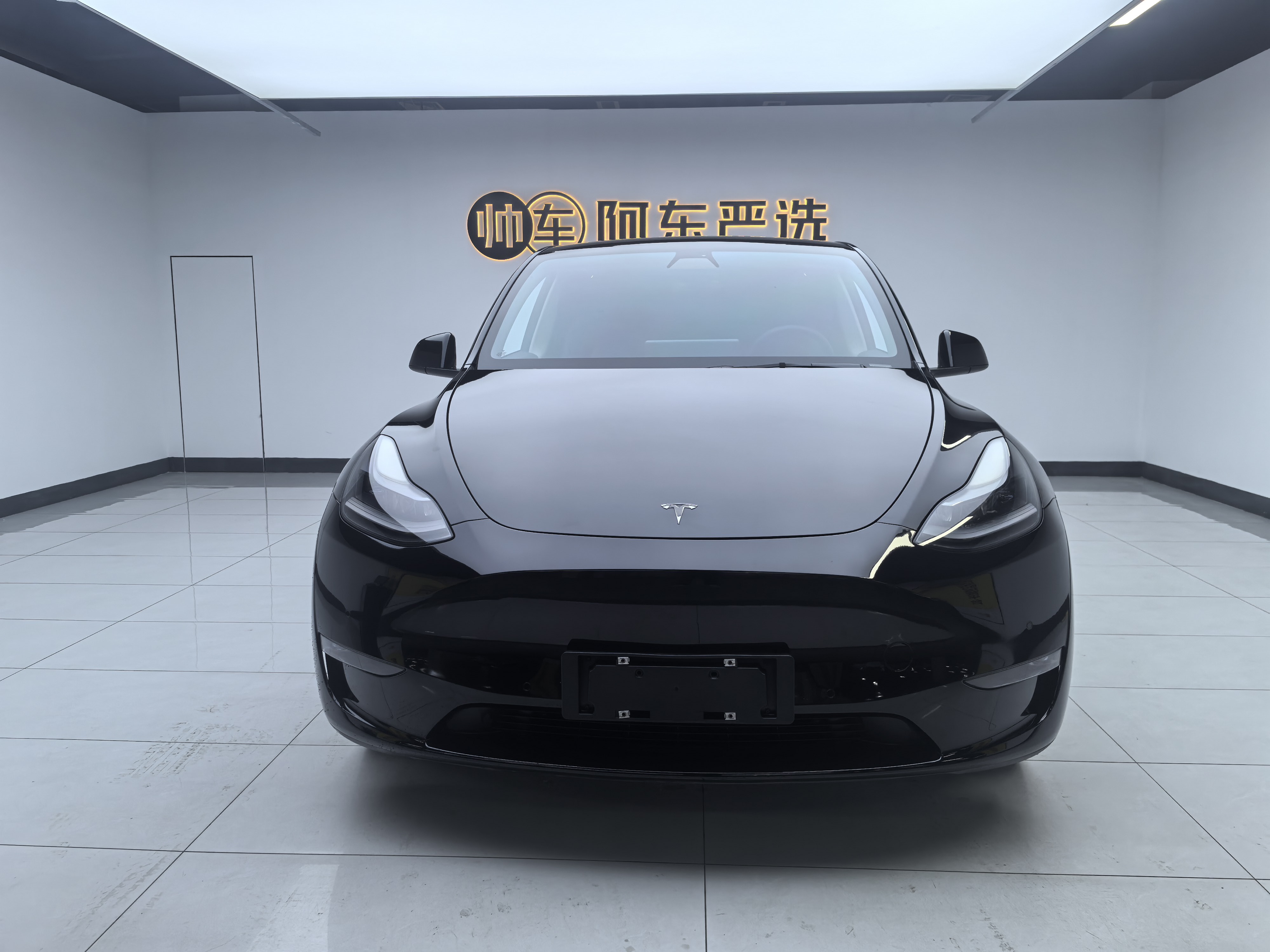 Tesla Model Y 2021 汽车图片 