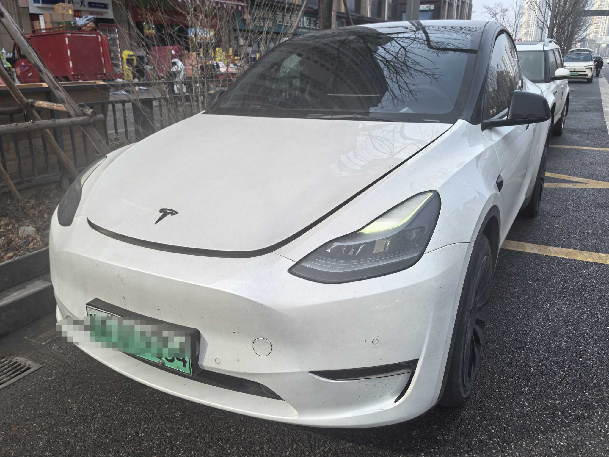 Tesla Model Y 2021 汽车图片 