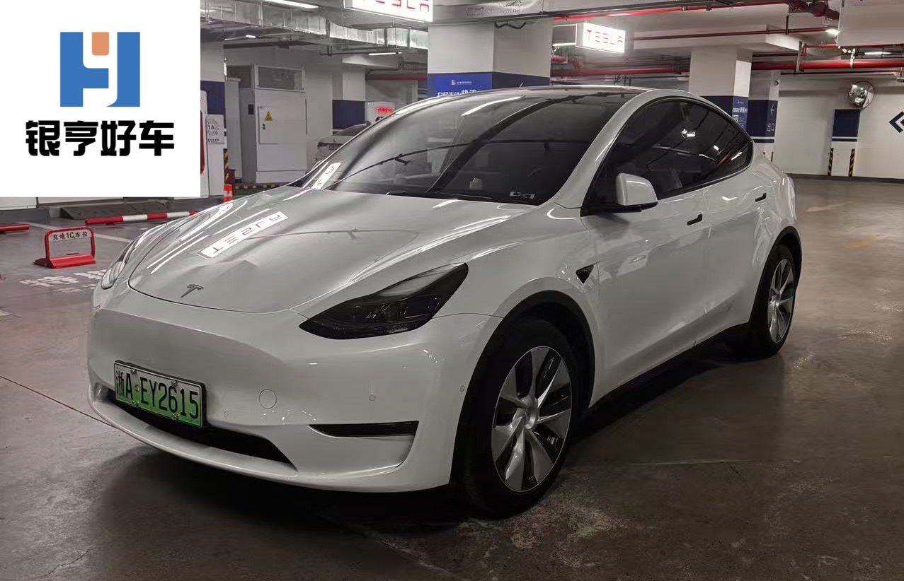 Tesla Model Y 2021 Tesla Model Y 2021 car image
