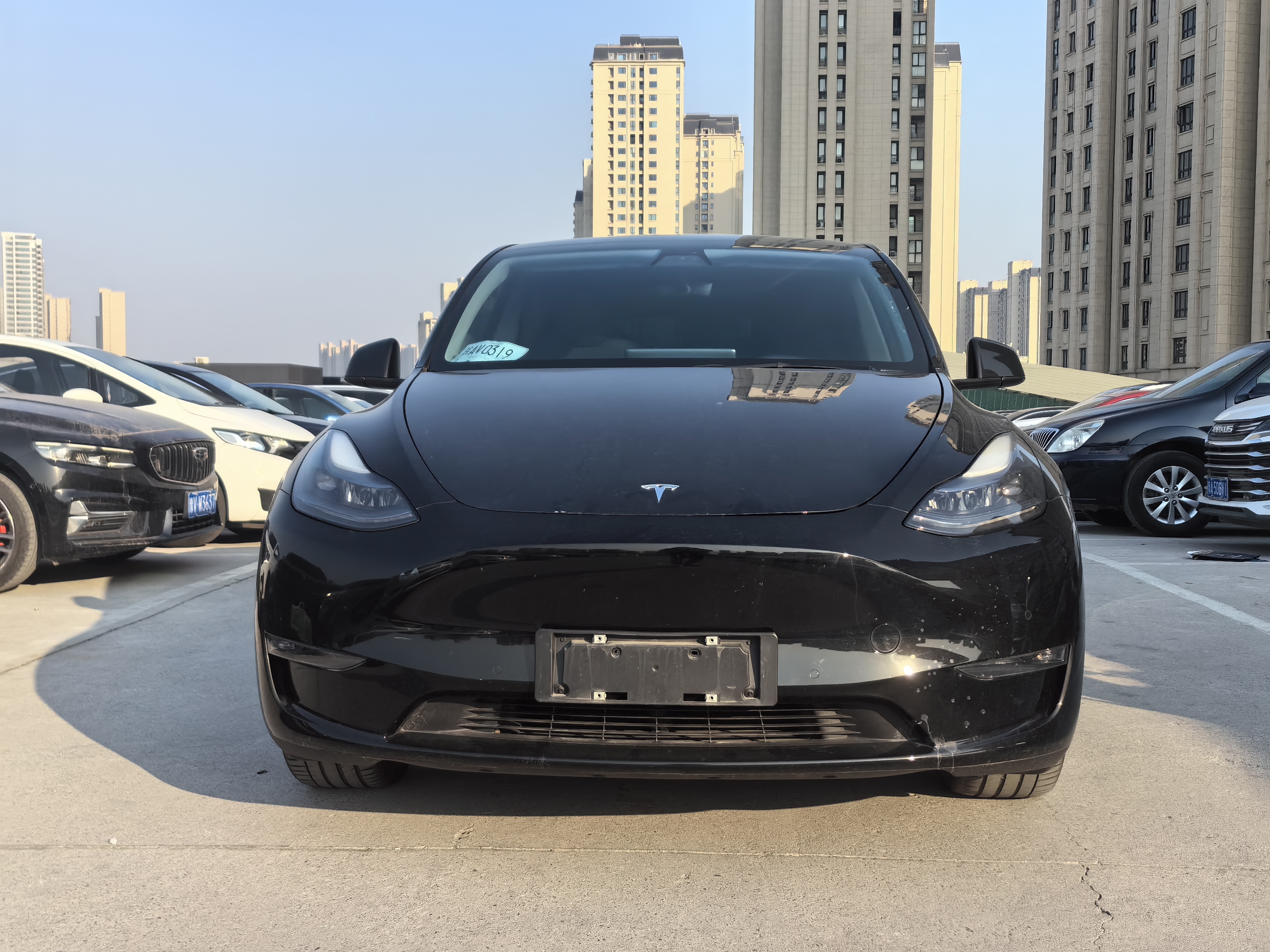 特斯拉 Model Y 2021 汽车图片 