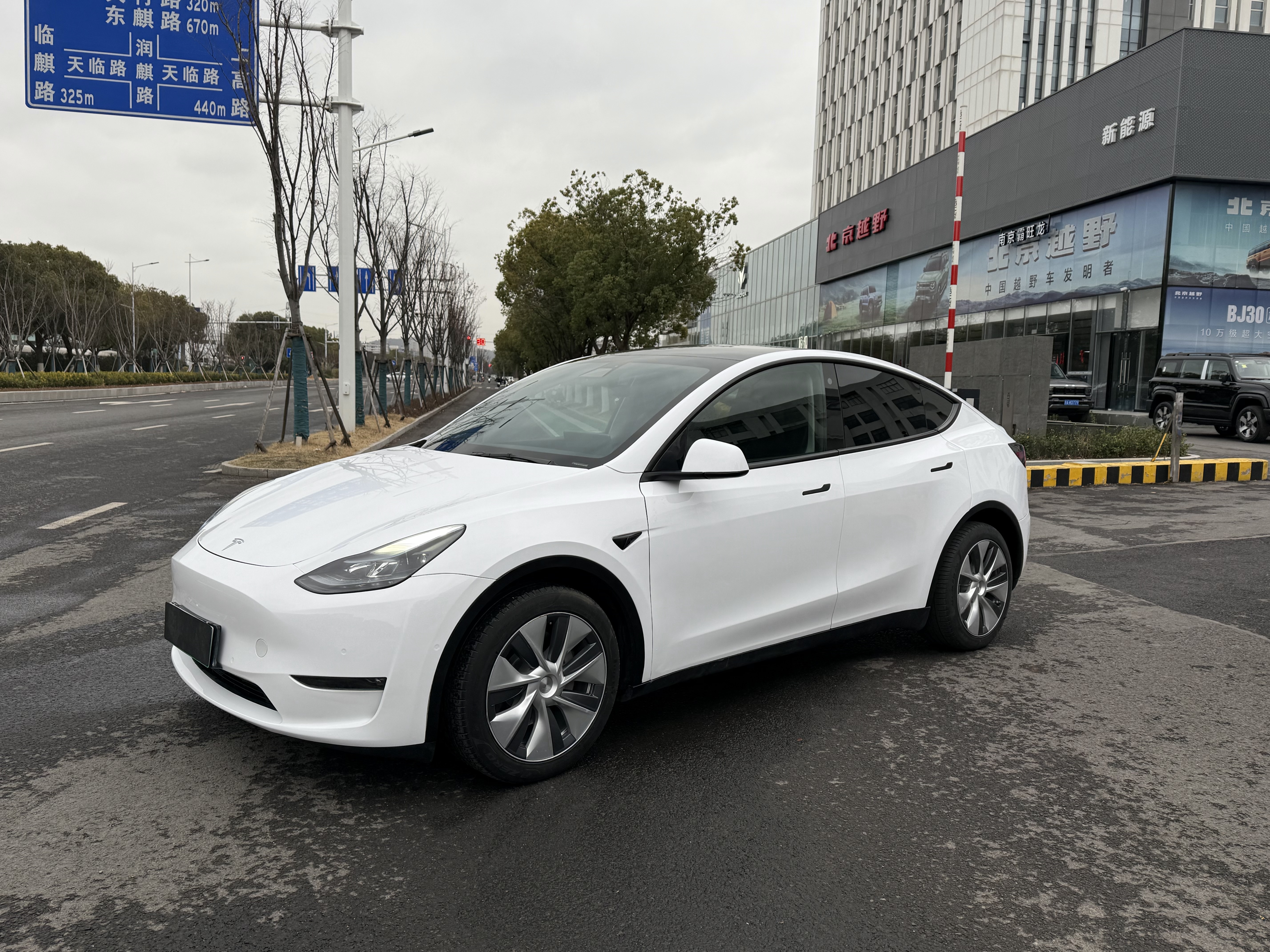 Tesla Model Y 2021 汽车图片 