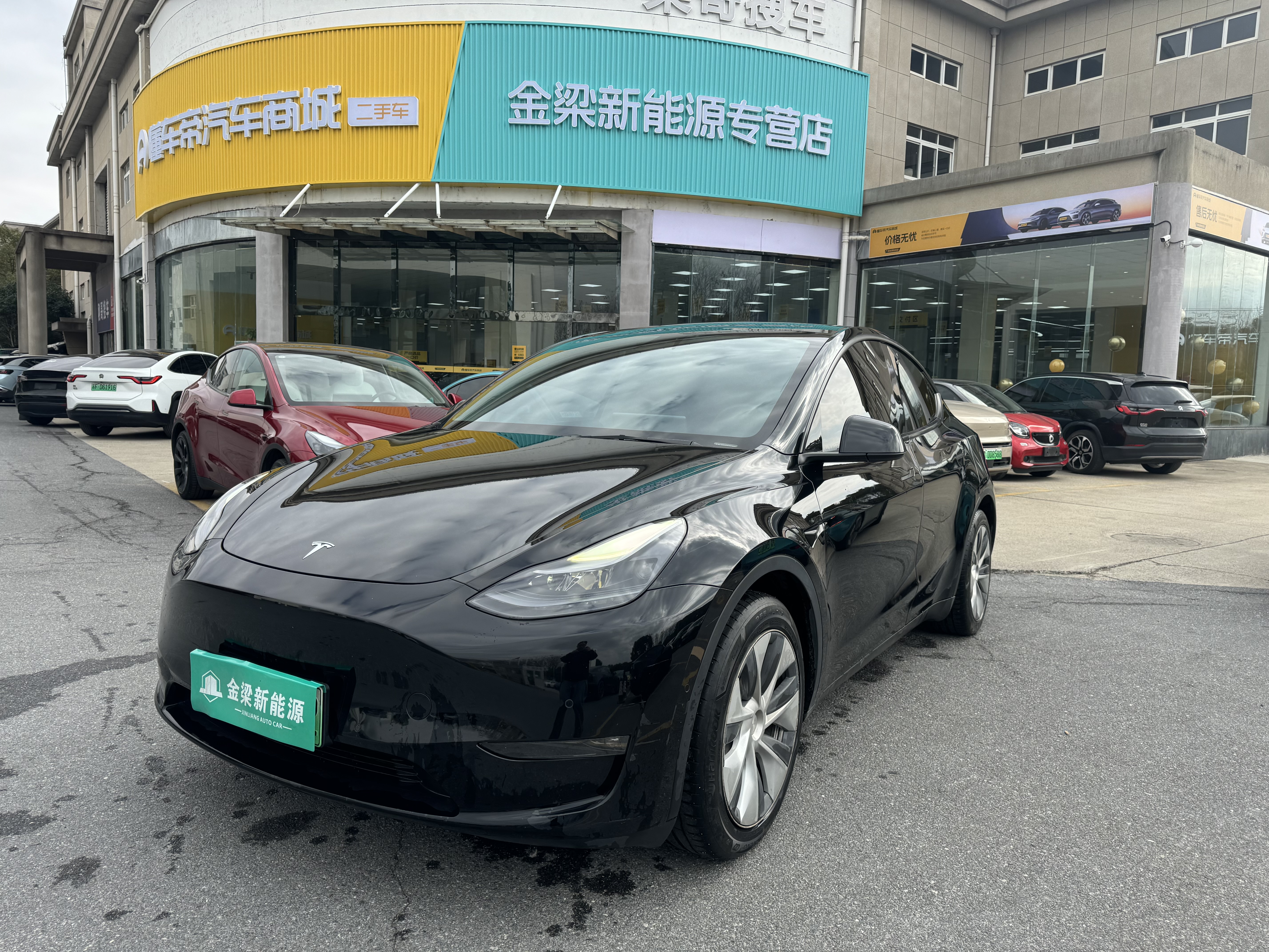 Tesla Model Y 2021 Tesla Model Y 2021 car image