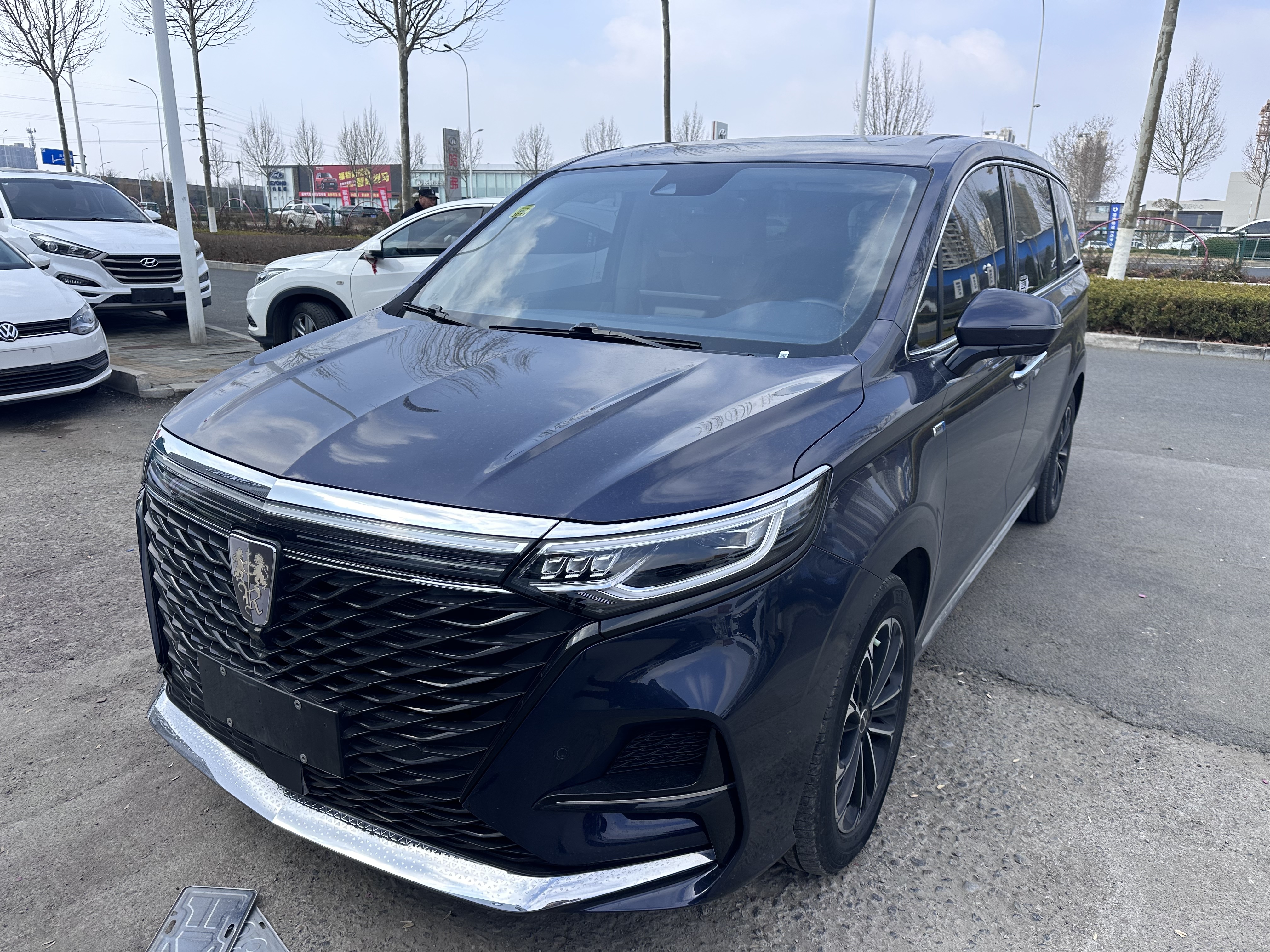 Roewe iMAX8 2021 汽车图片 