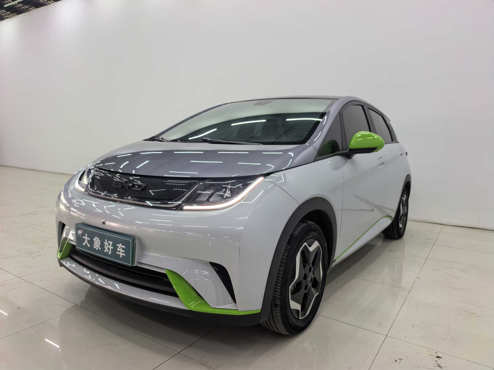 BYD Dolphin 2023 car image 