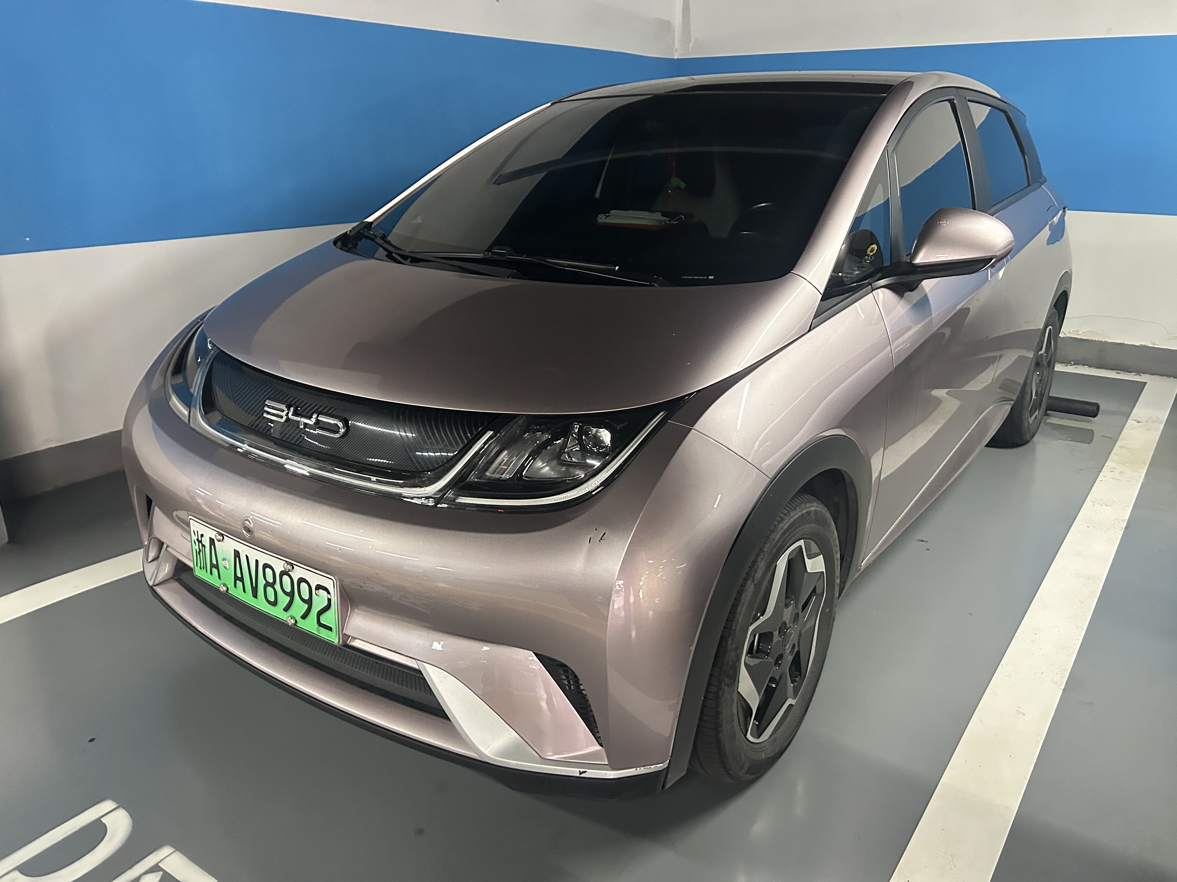 BYD Dolphin 2022 car image 