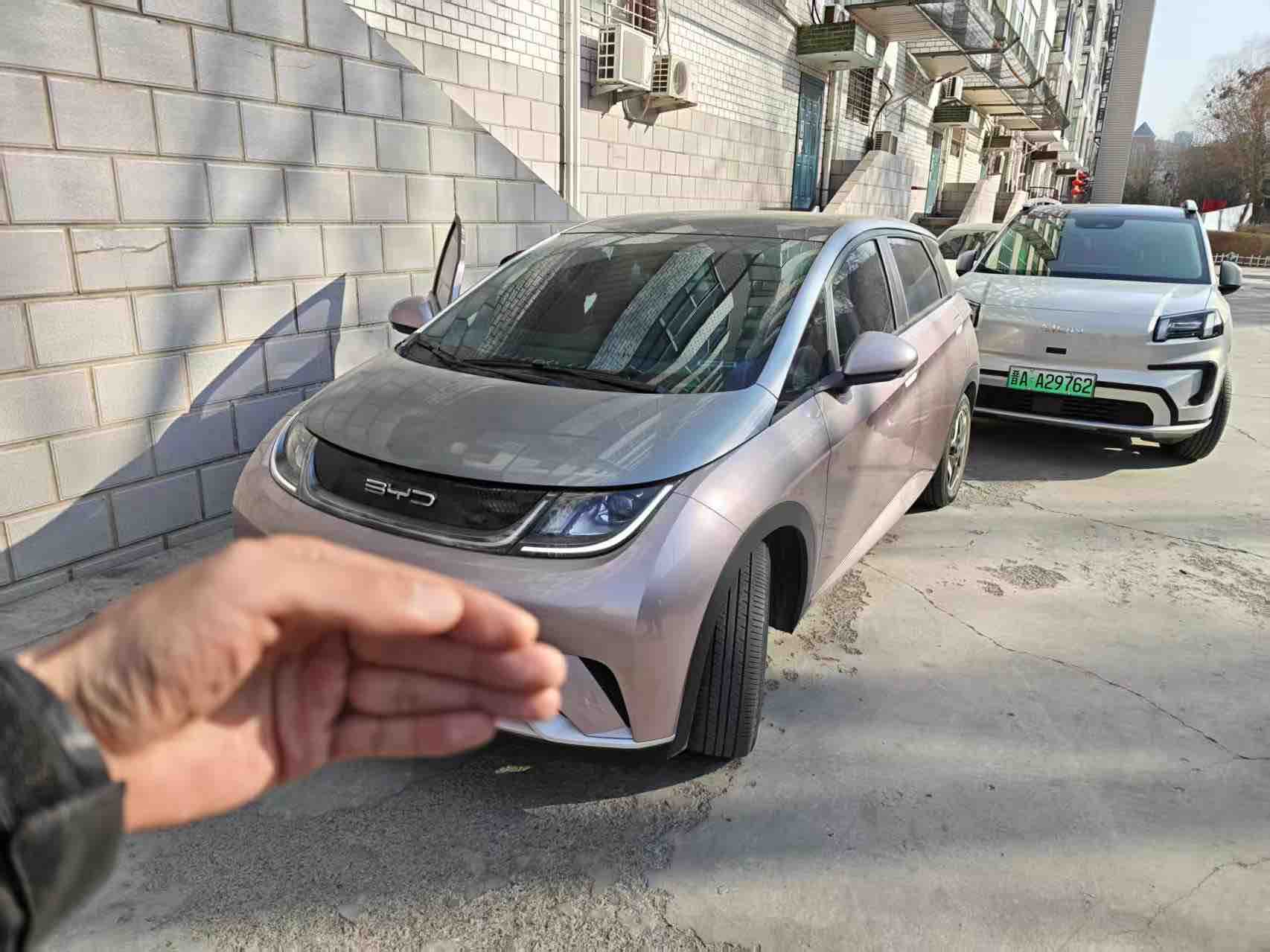 BYD Dolphin 2021 car image 