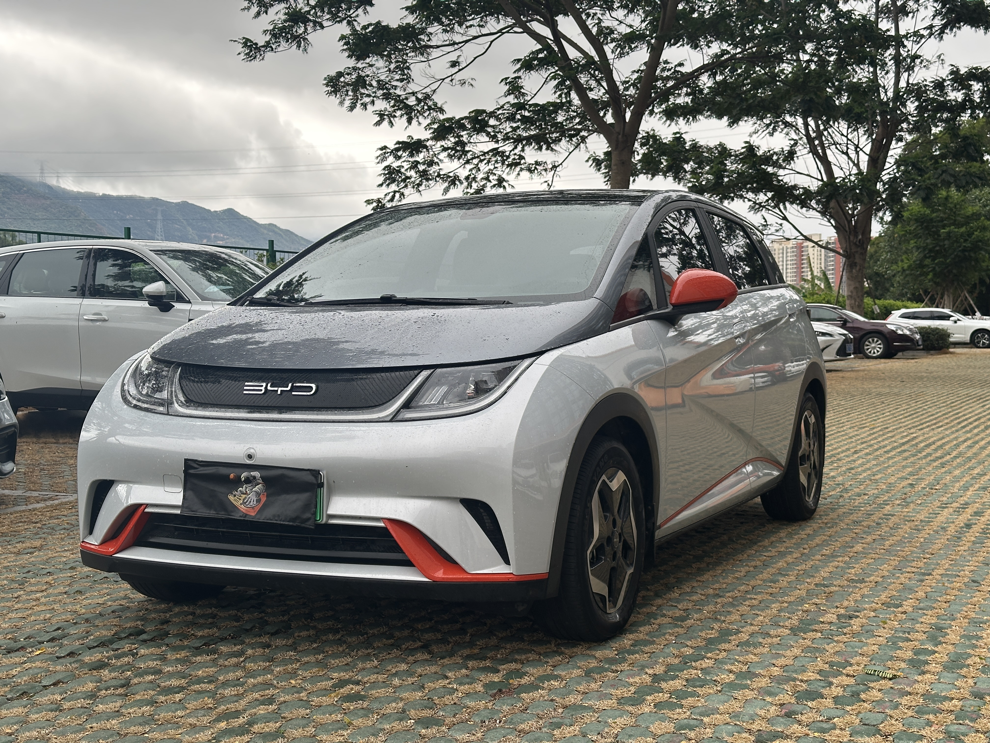 BYD Dolphin 2022 car image 