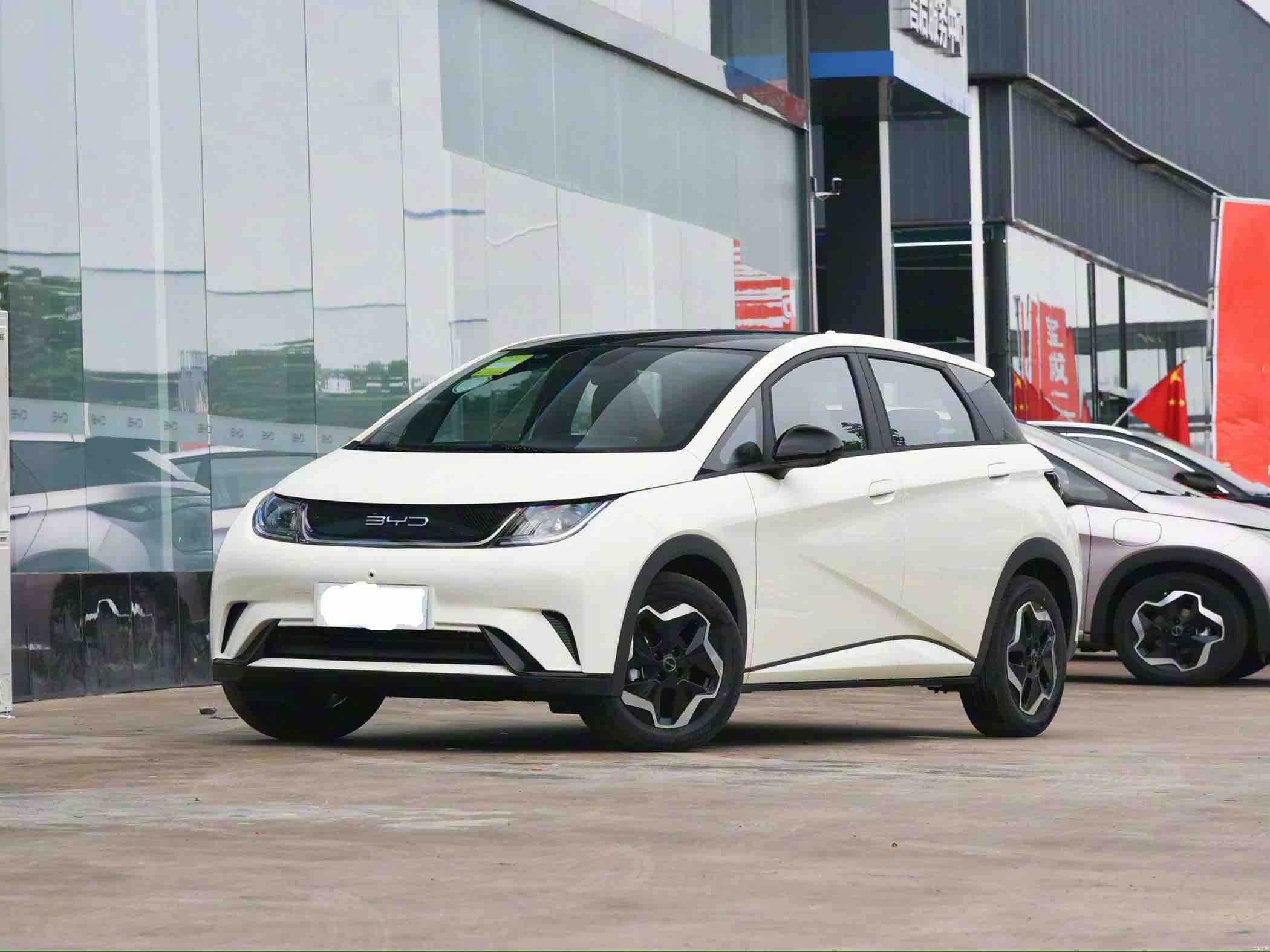 比亚迪 海豚 2023 汽车图片 