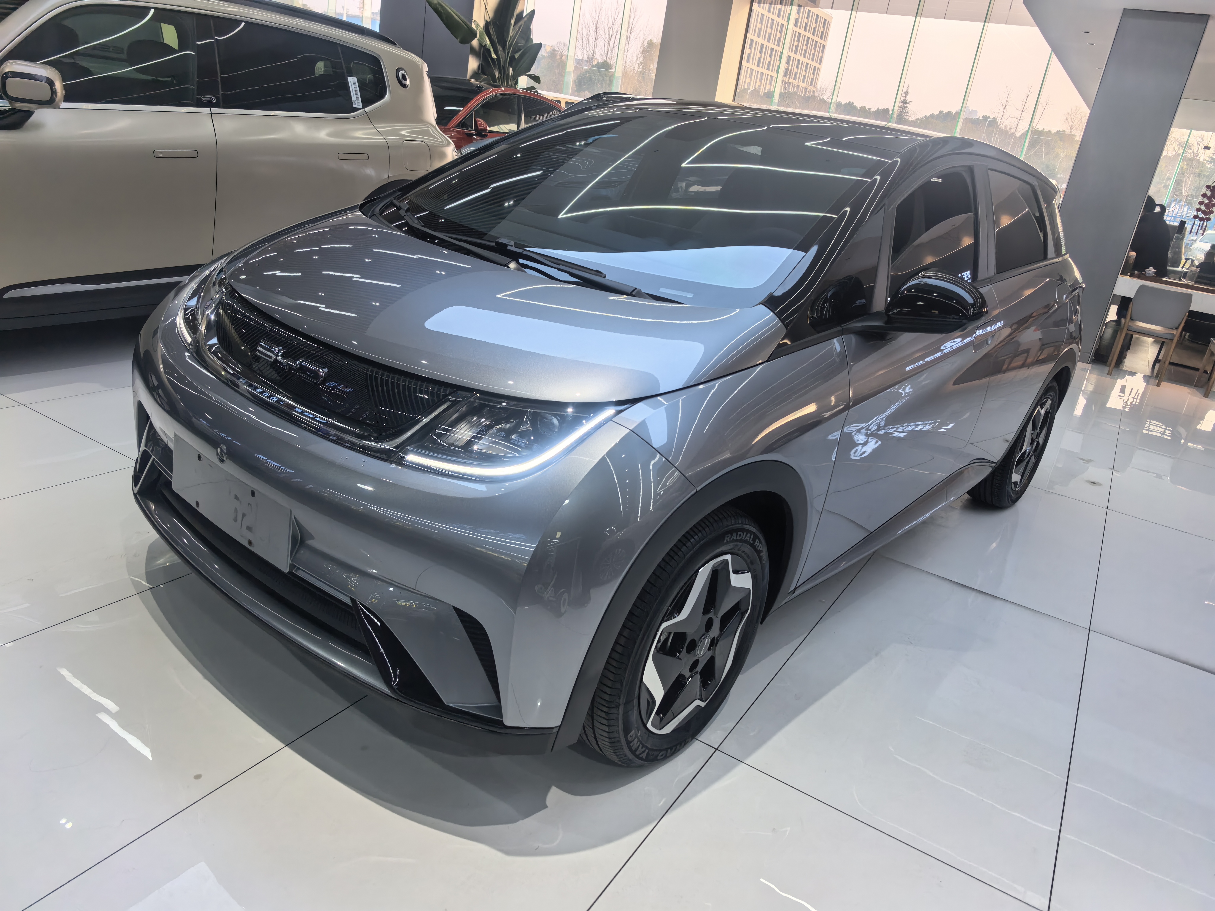 BYD Dolphin 2022 car image 