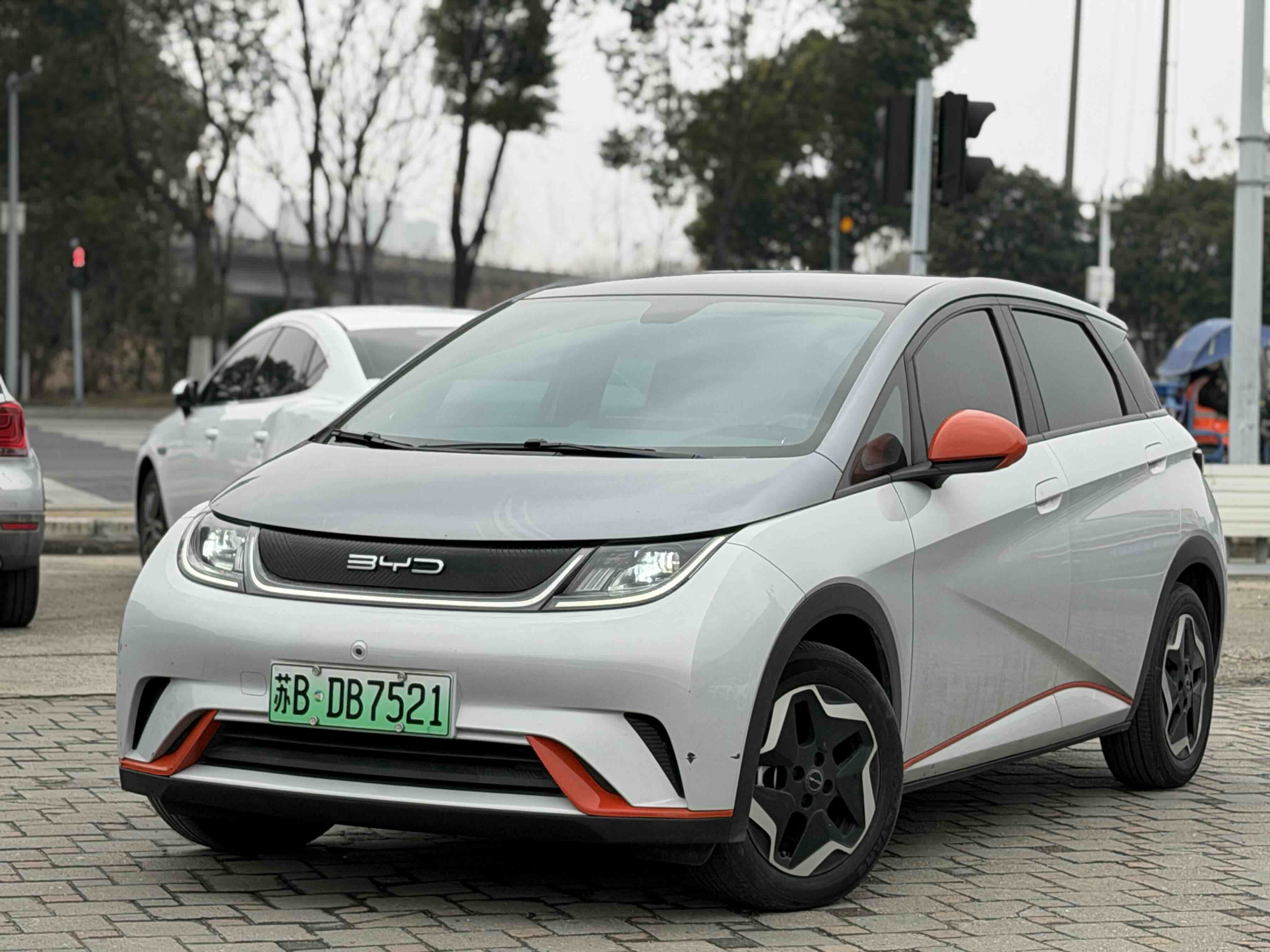 BYD Dolphin 2021 BYD Dolphin 2021 car image