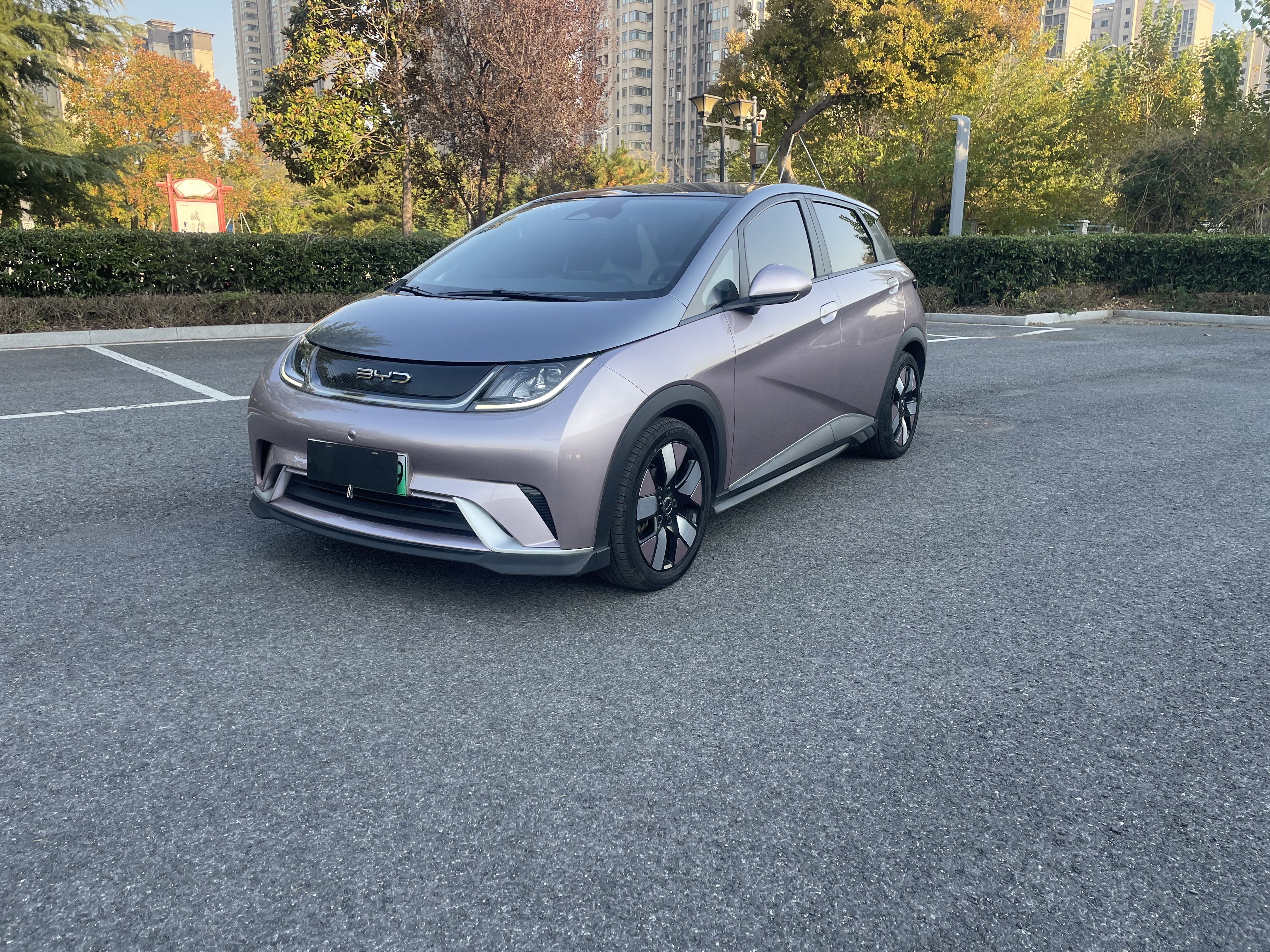 BYD Dolphin 2023 صورة سيارة 