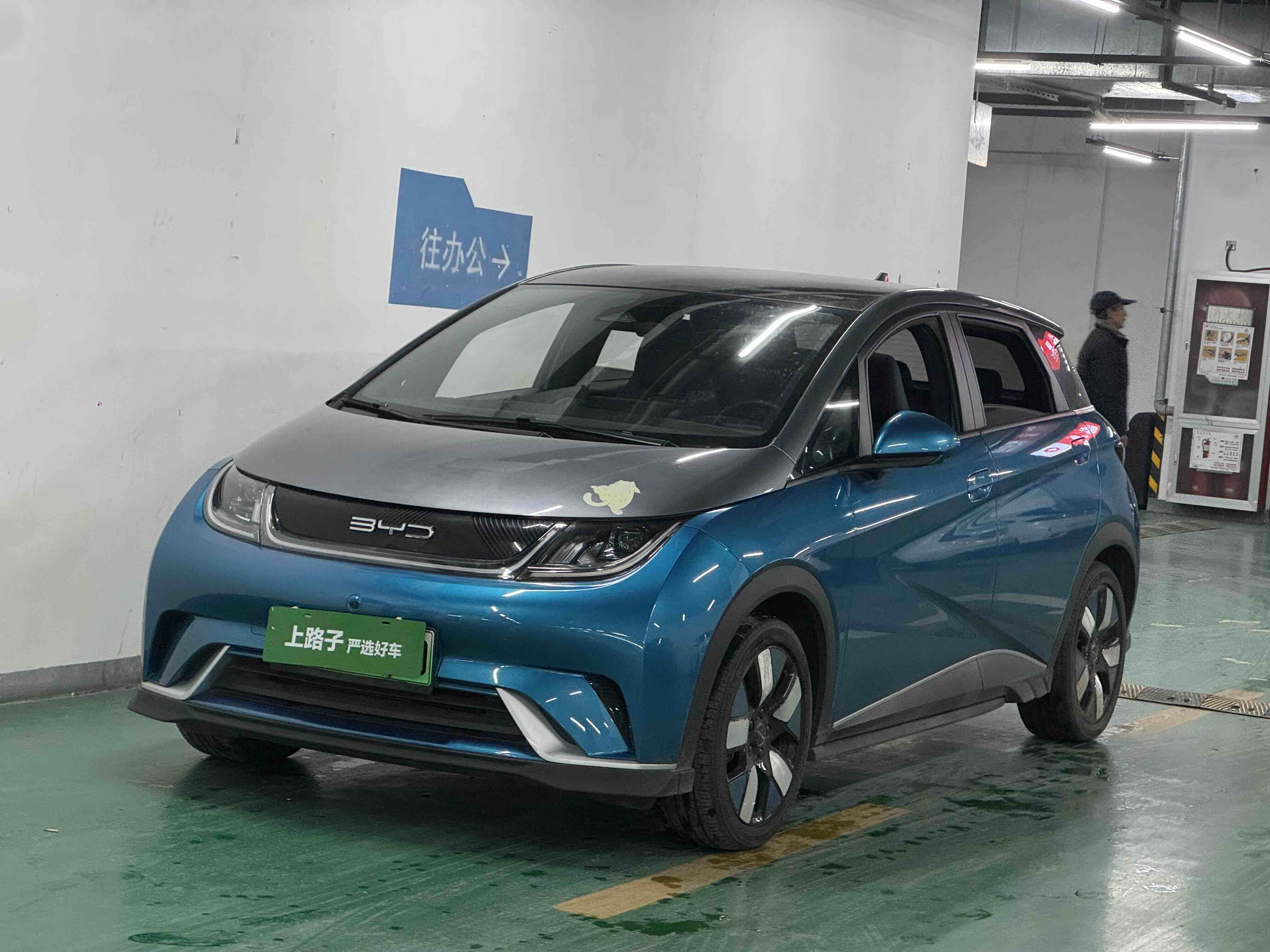 BYD Dolphin 2022 صورة سيارة 