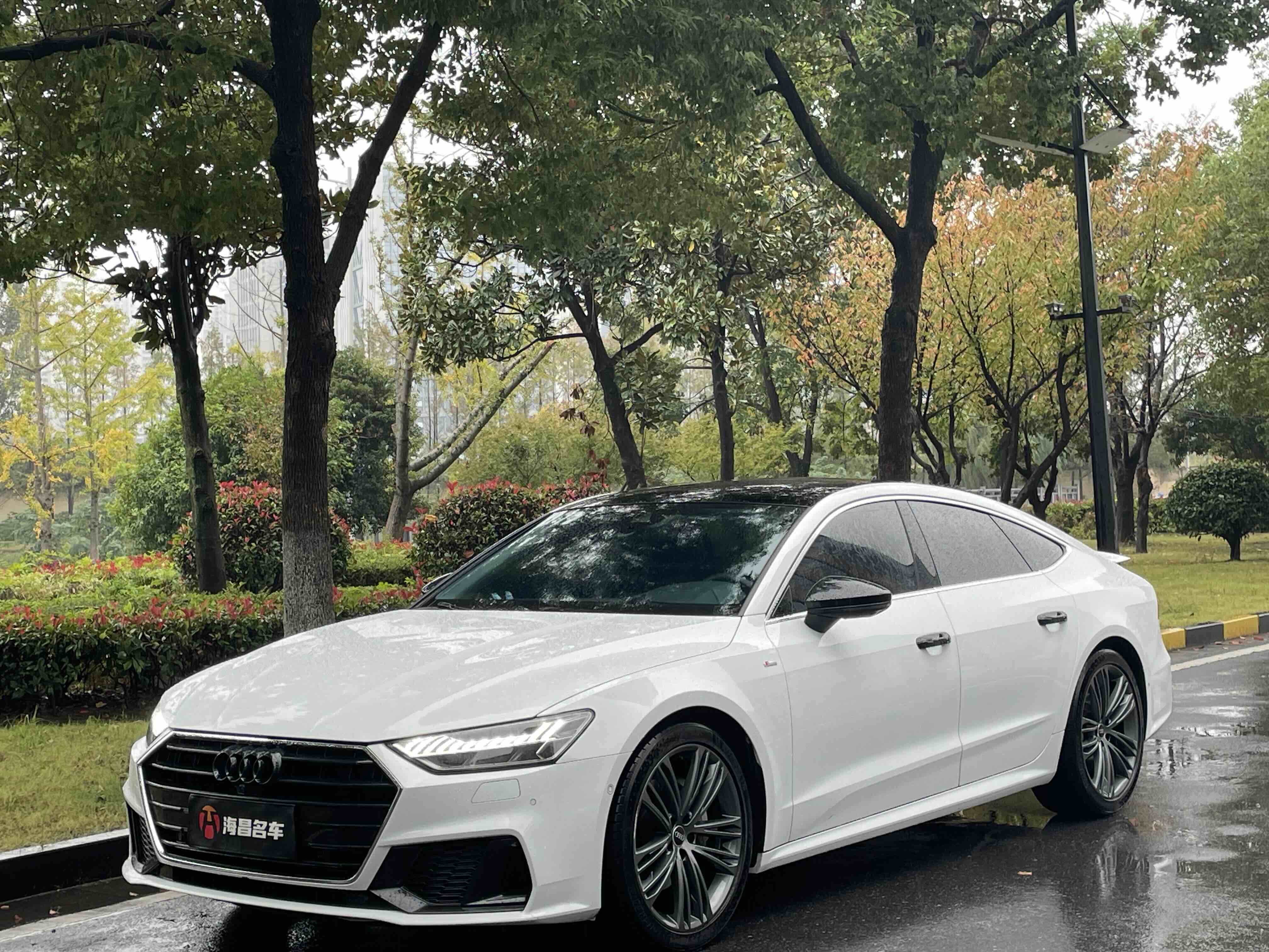 Audi A7 2023 car image 