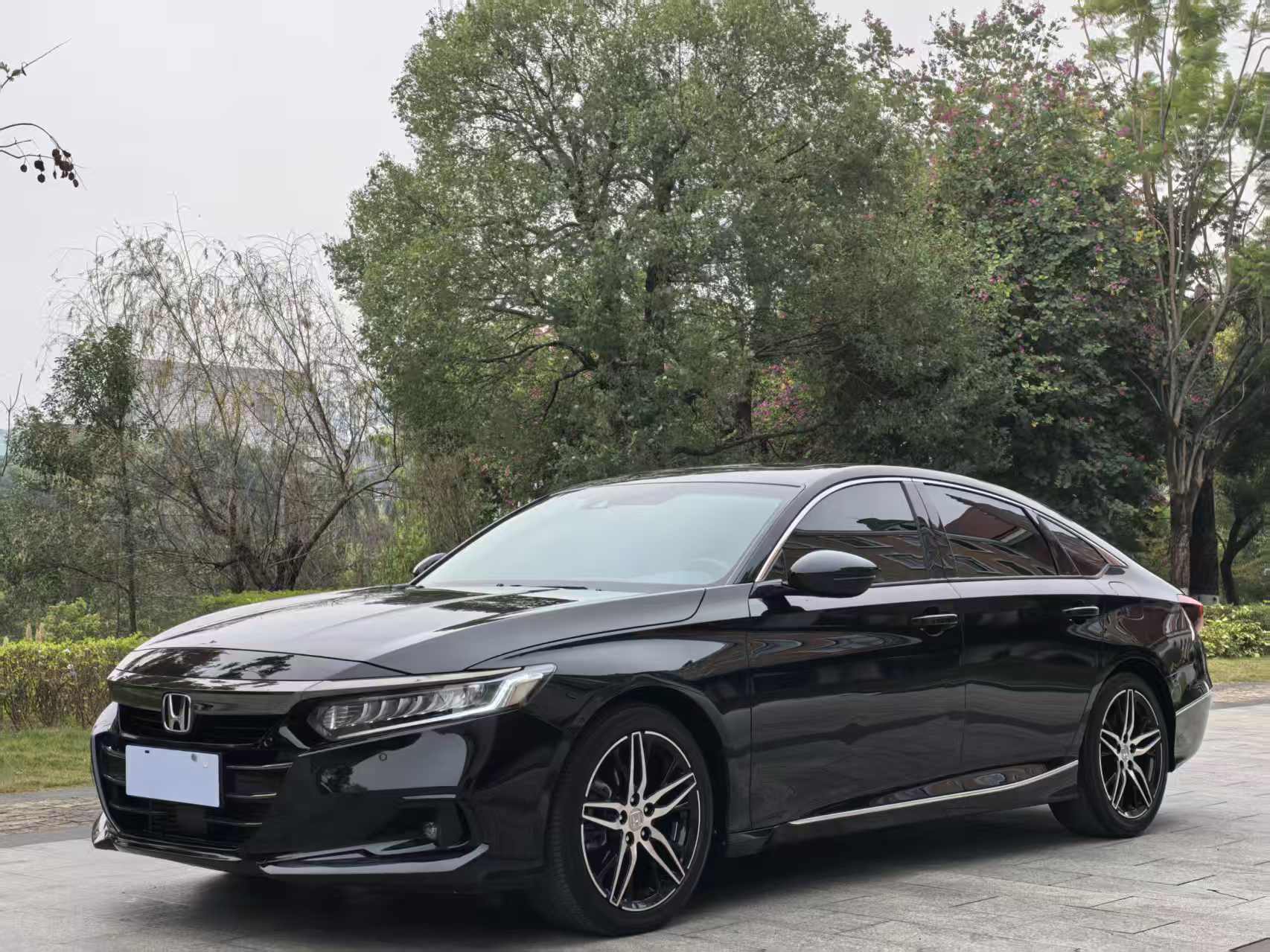 Honda Accord 2023 car image 