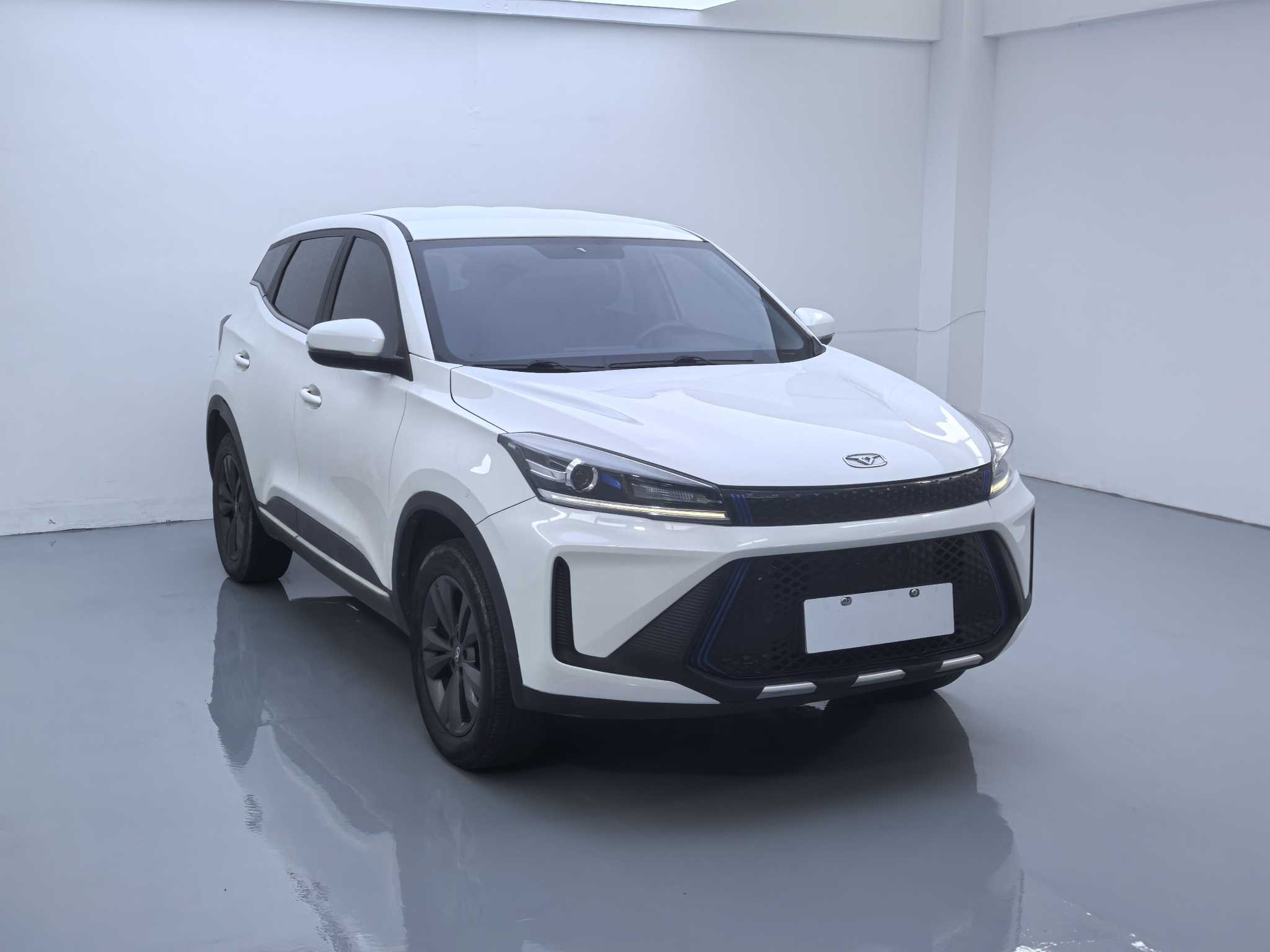 Showjet Pro EV 2022 car image 
