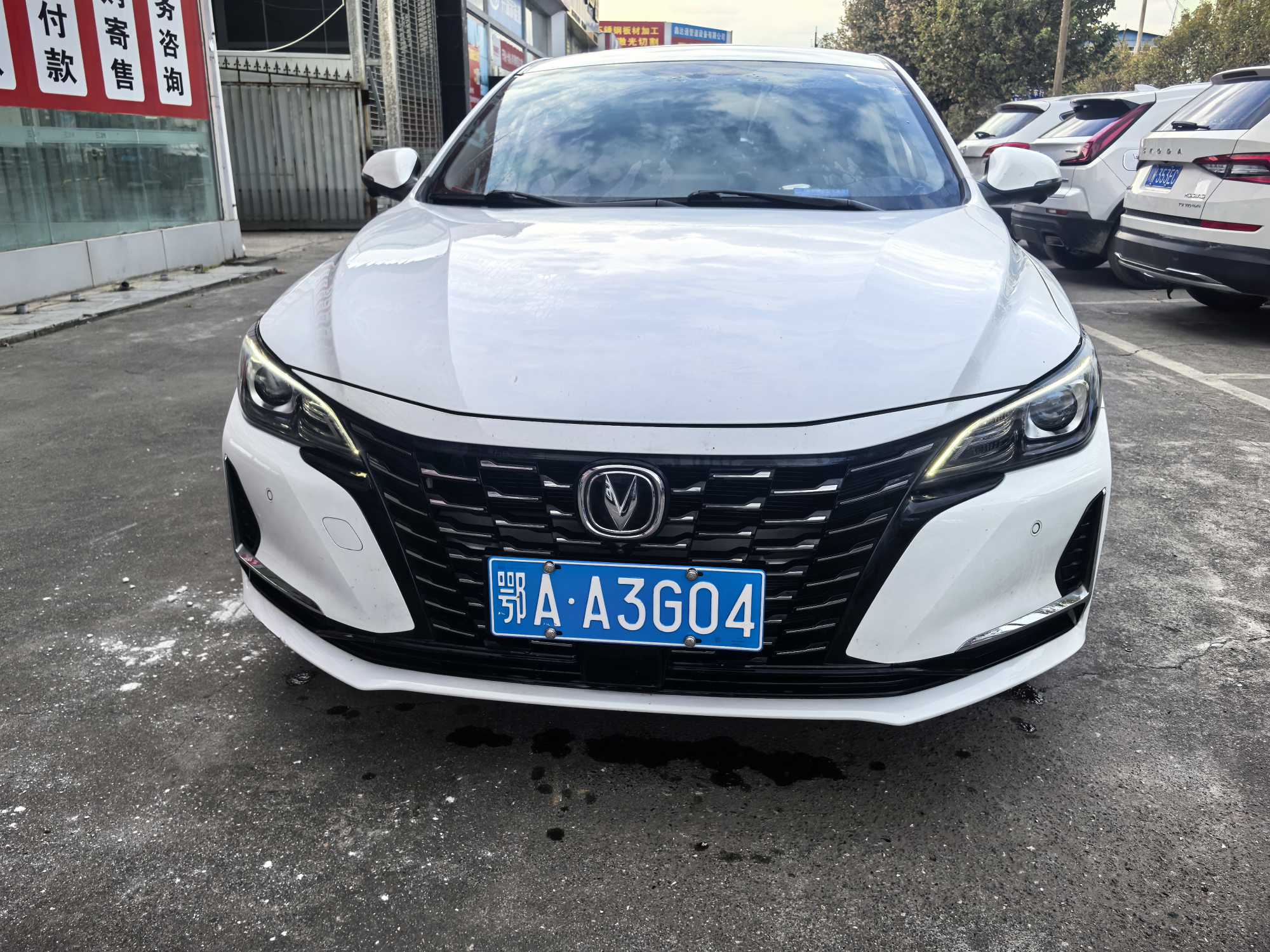 Changan Raeton CC 2022 汽车图片 