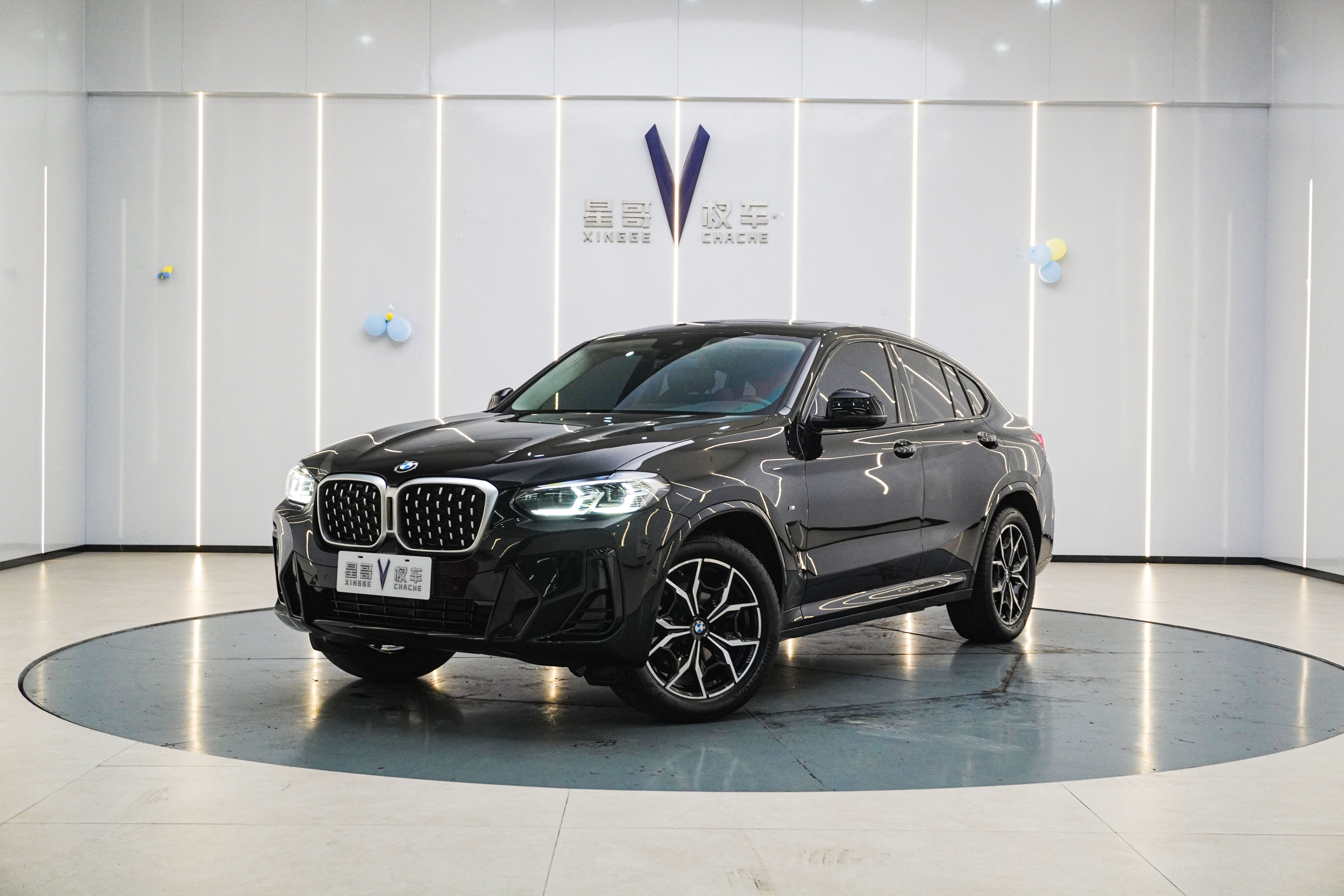 BMW X4 2023 immagine di auto 