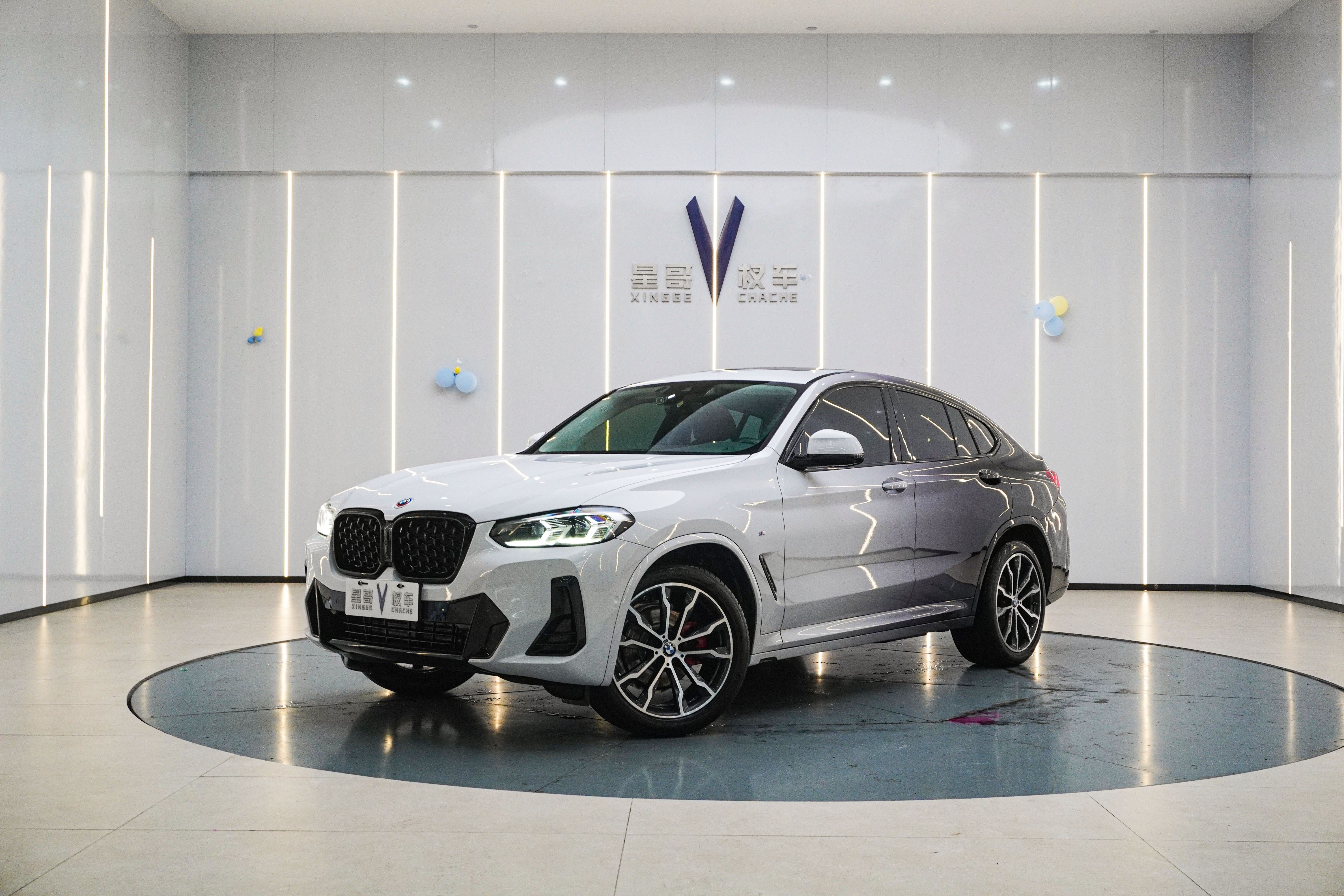 BMW X4 2022 immagine di auto 