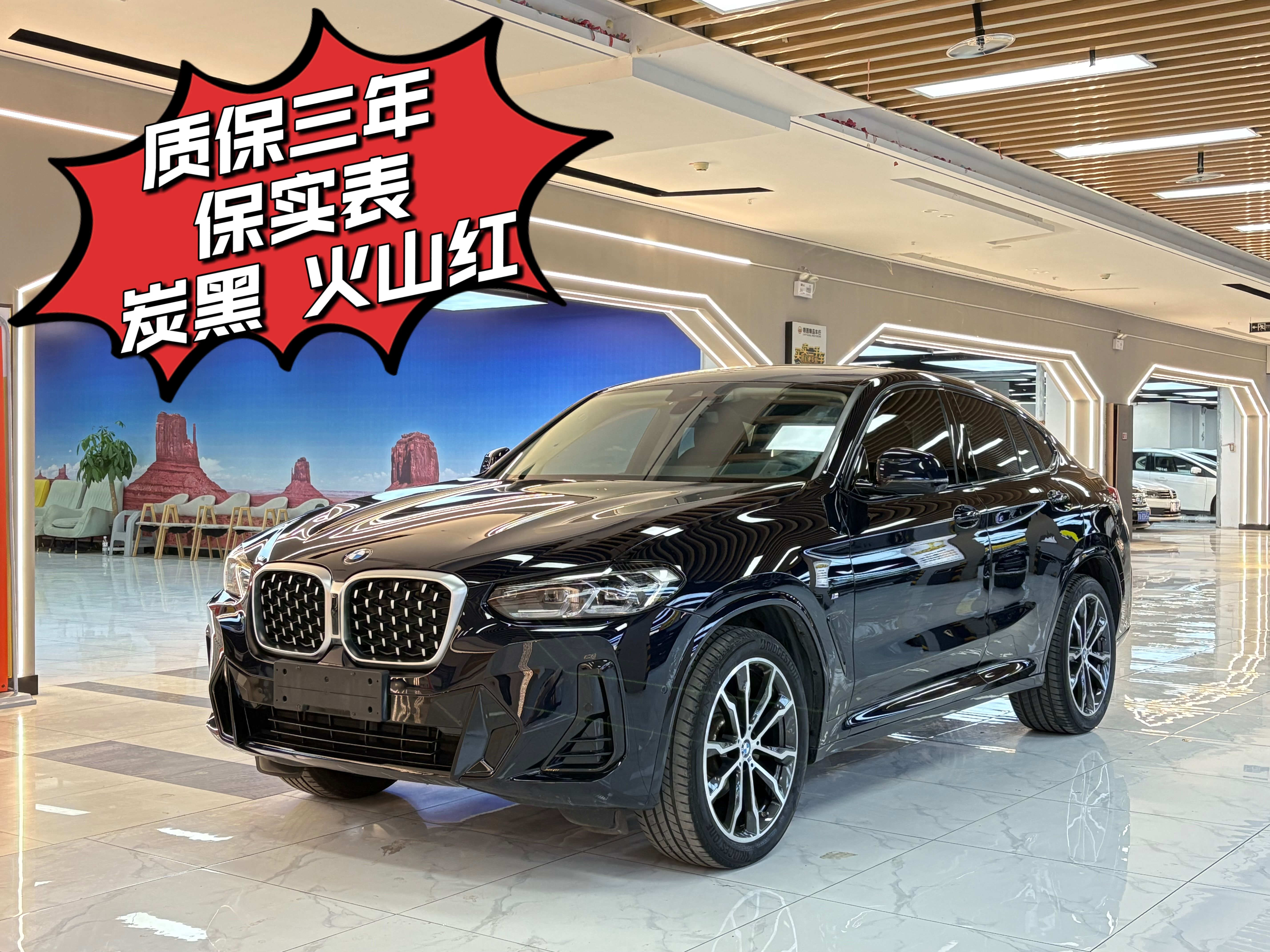 BMW X4 2024 immagine di auto 