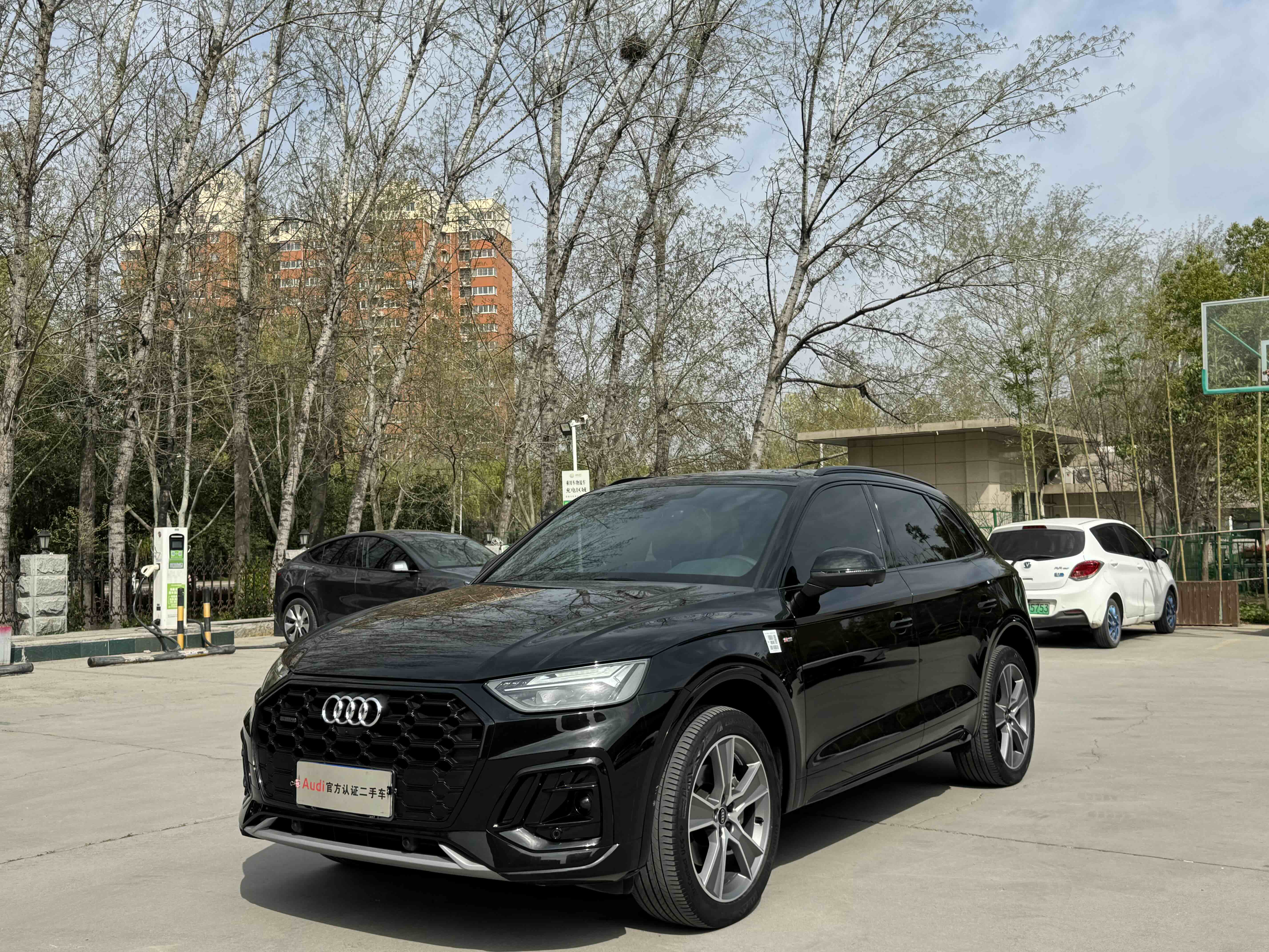 Audi Q5L 2023 汽车图片 
