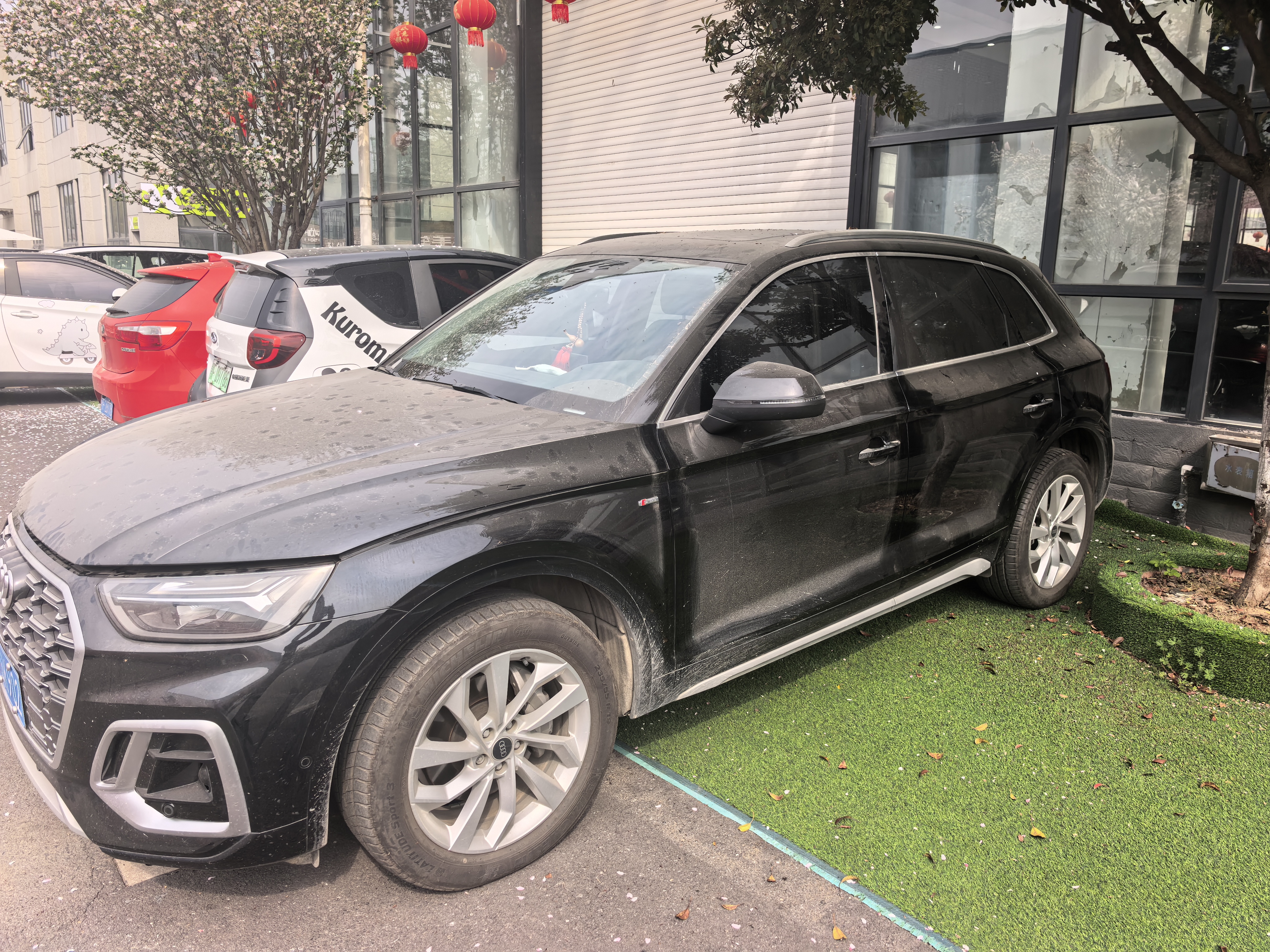 Audi Q5L 2022 汽车图片 
