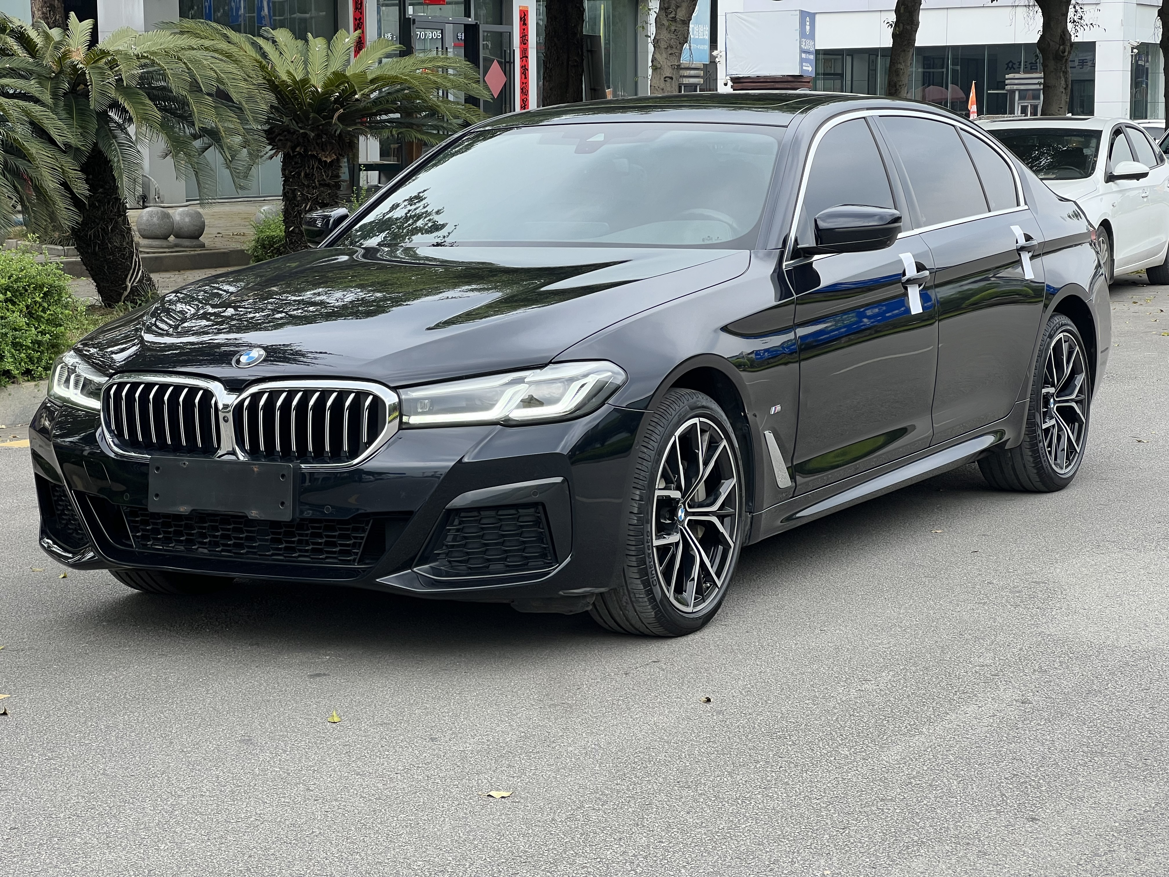 BMW 5 Series 2023 汽车图片 