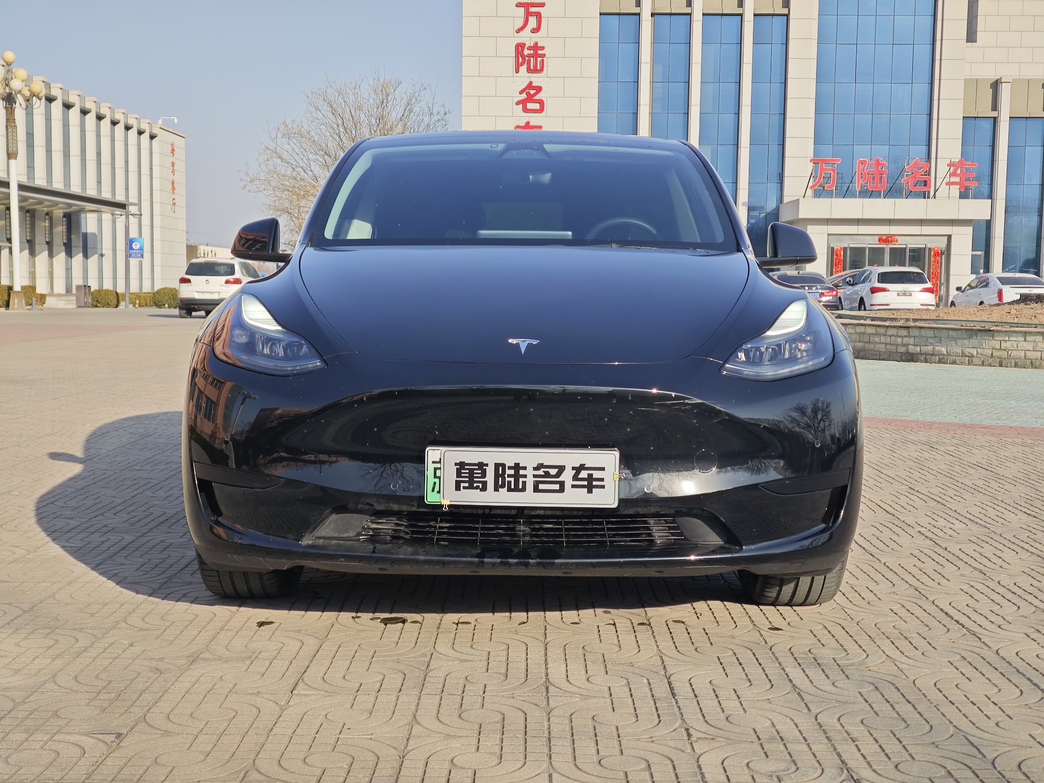 Tesla Model Y 2023 汽车图片 