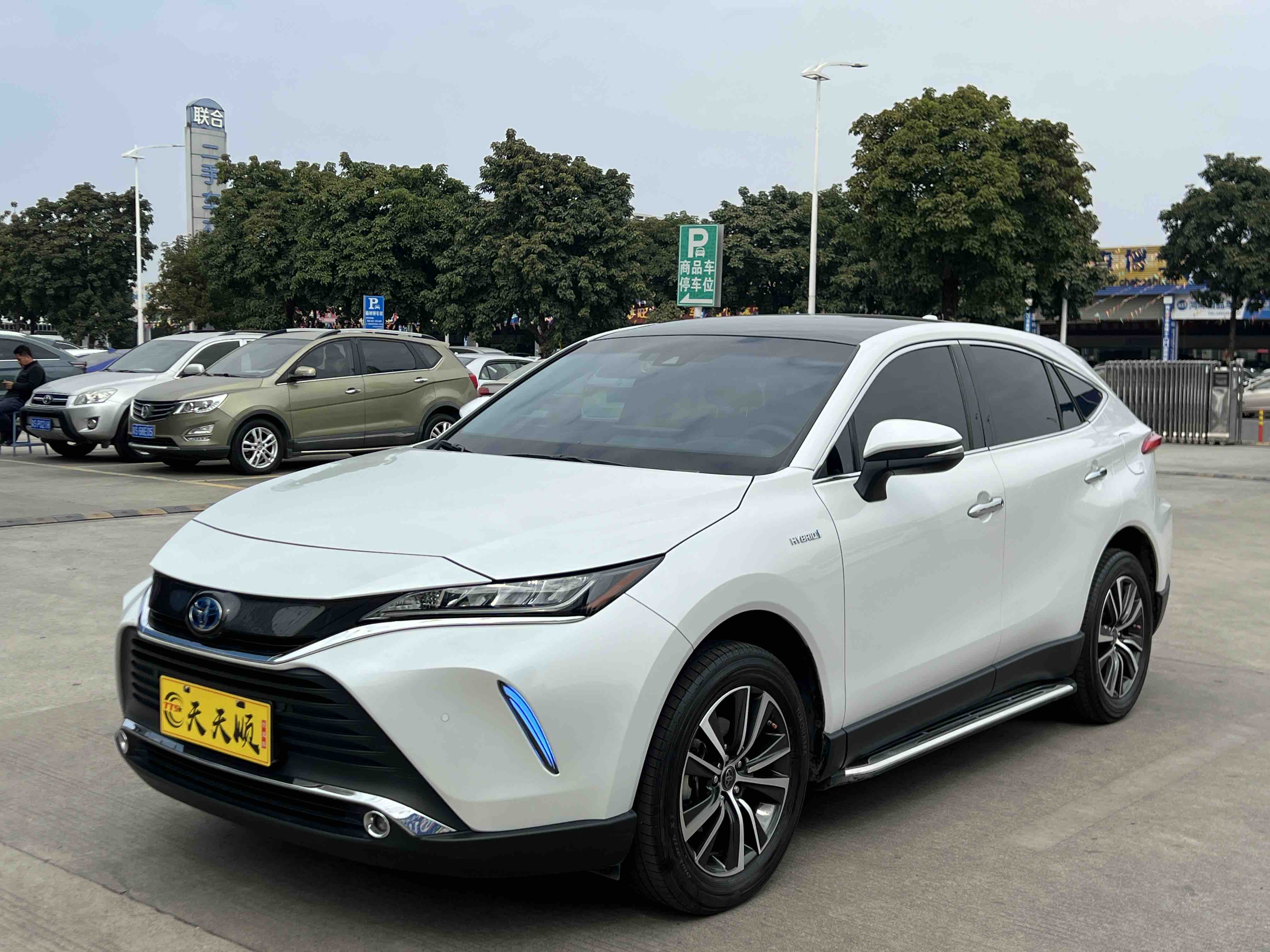 Toyota Harrier 2023 汽车图片 