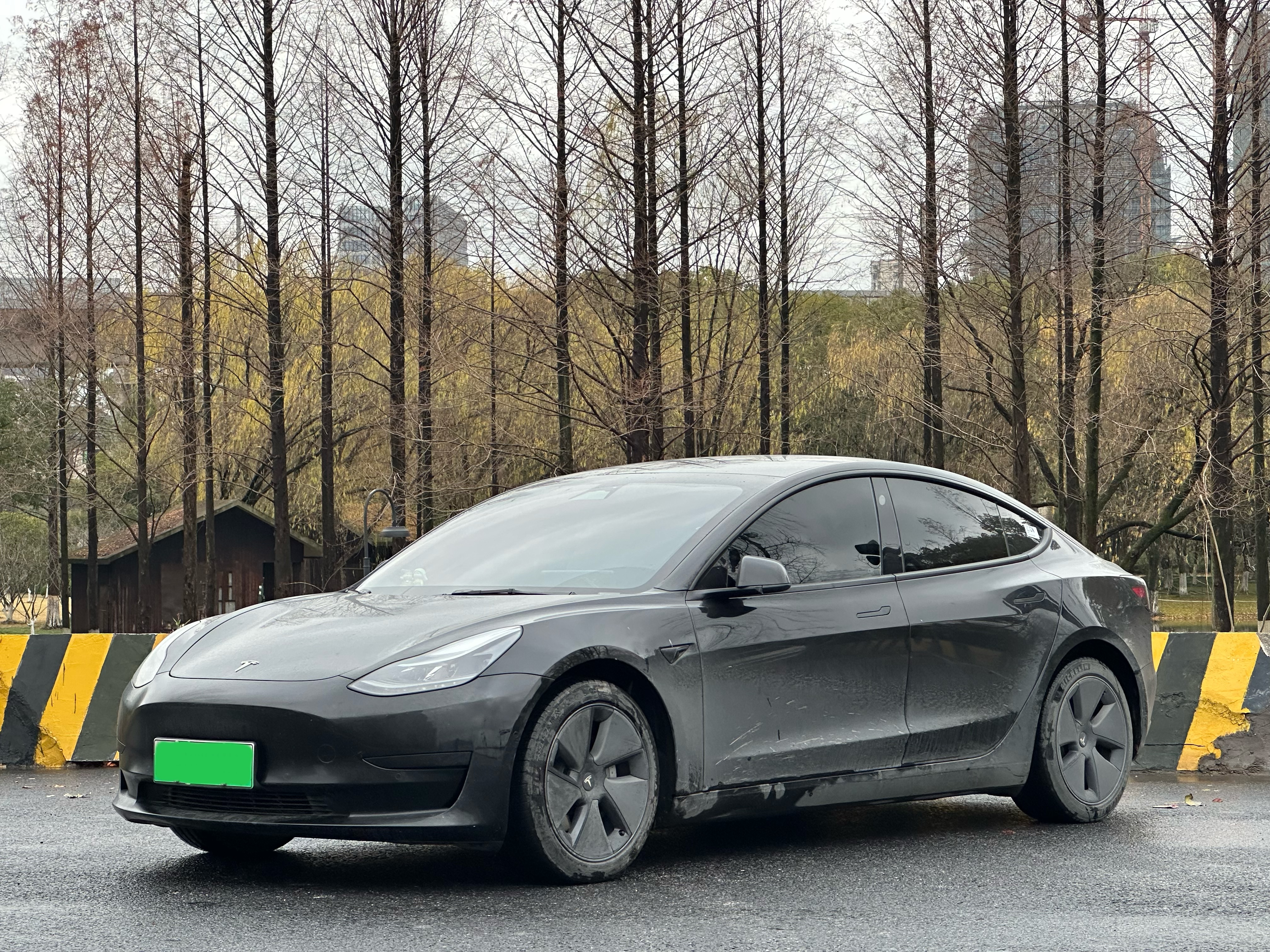 Tesla Model 3 2022 Tesla Model 3 2022 car image