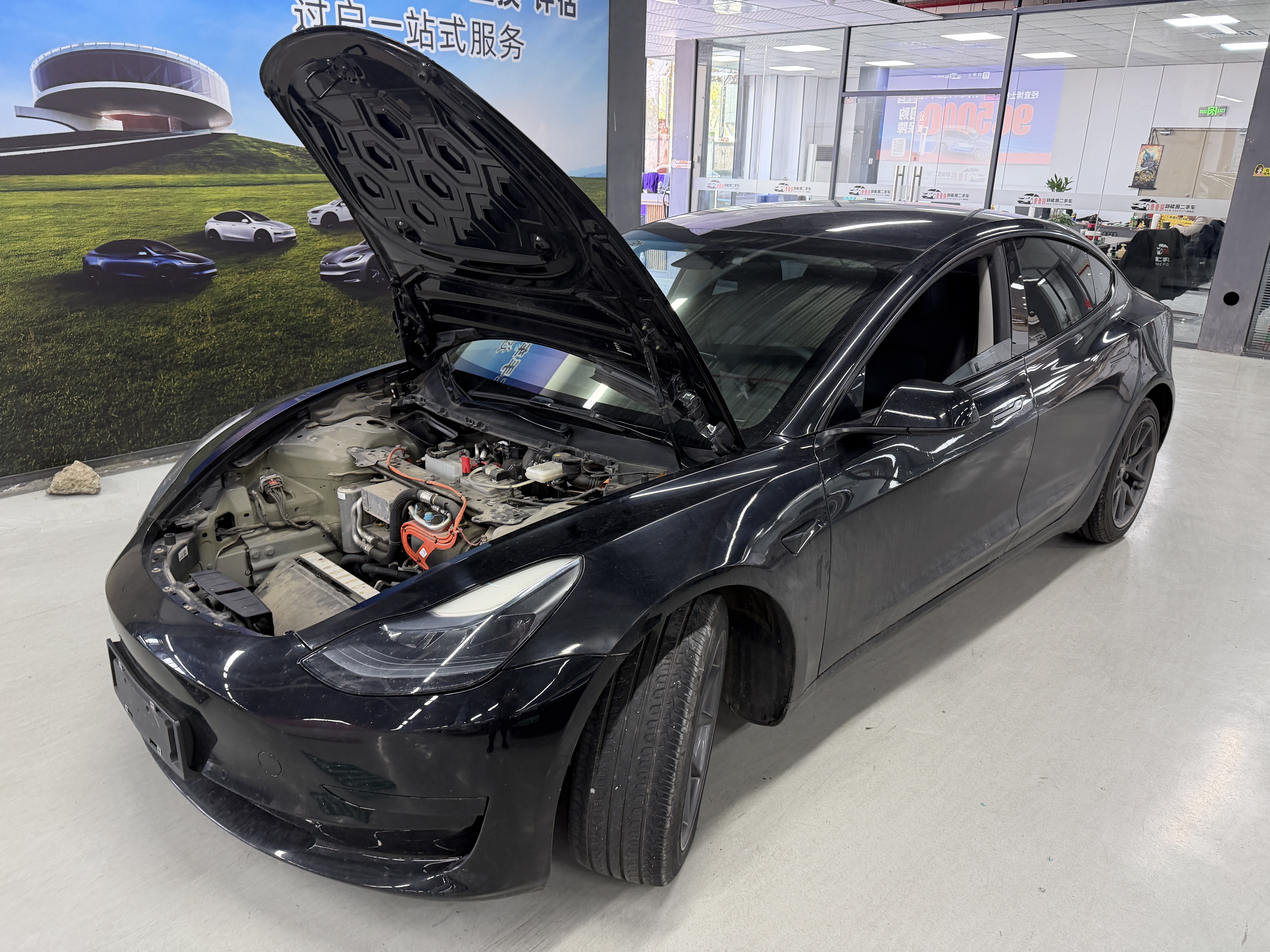 Tesla Model 3 2023 汽车图片 