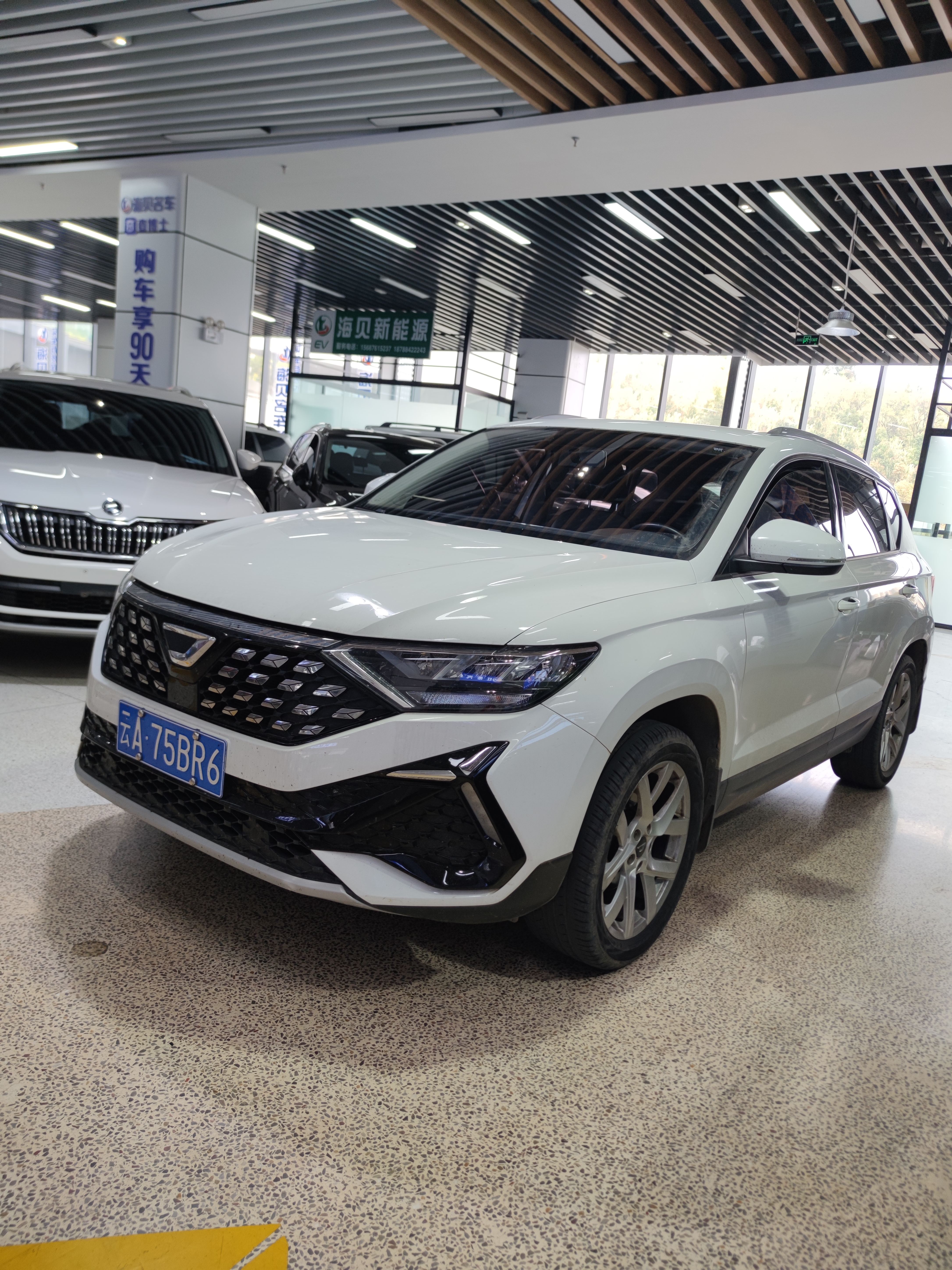 VS5 2022 VS5 2022 car image