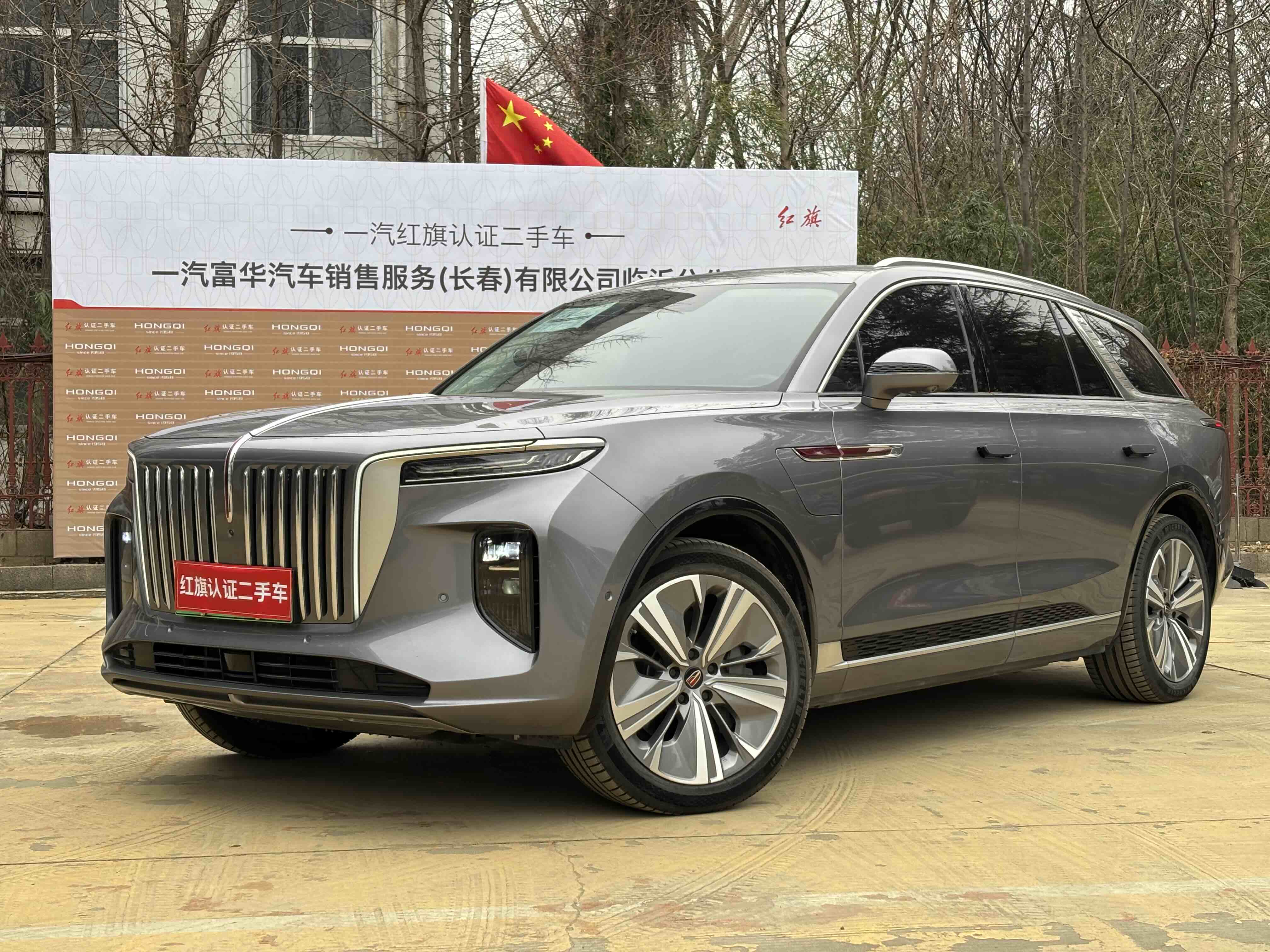 HongQi E-HS9 2023 car image 