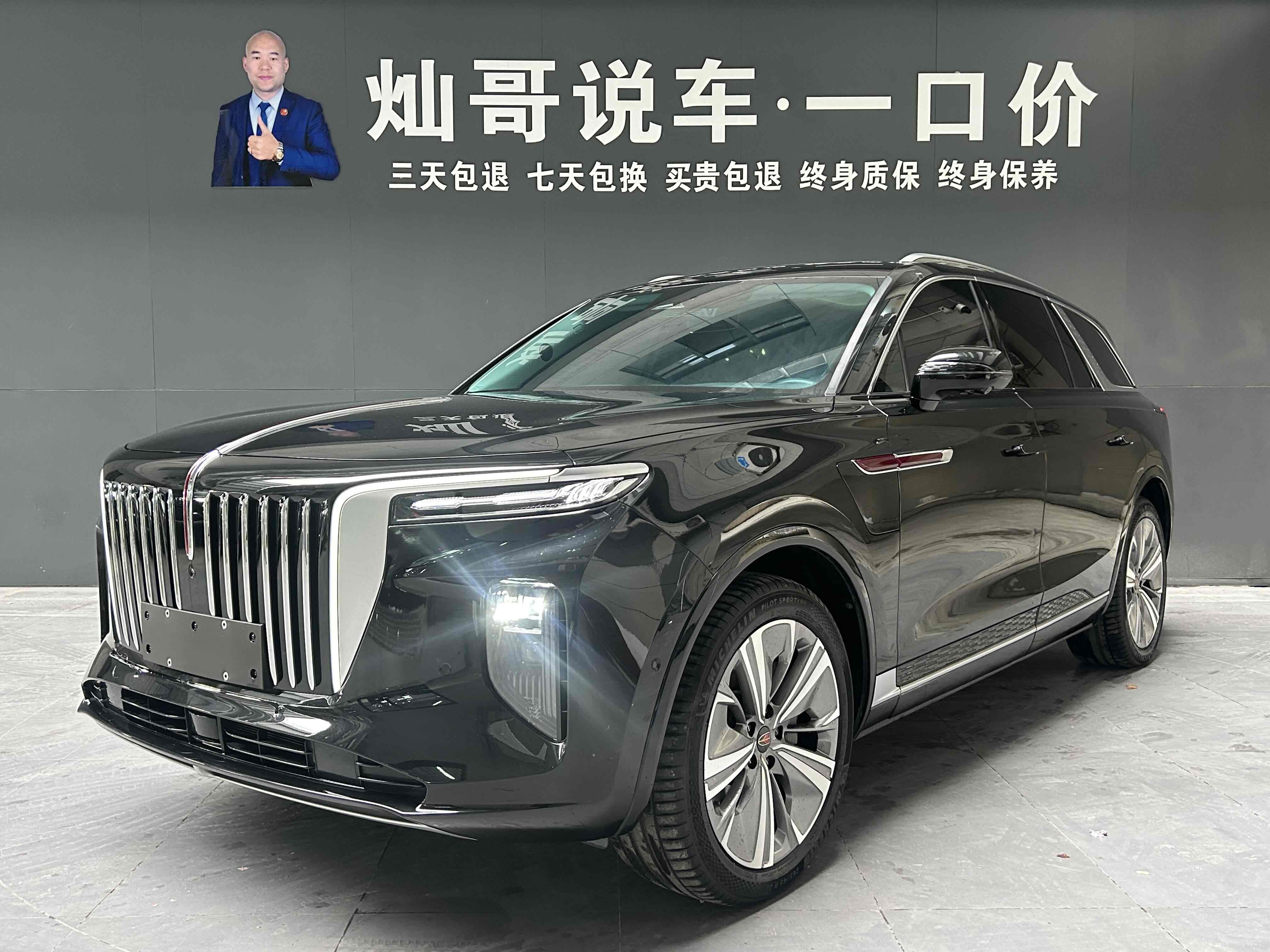HongQi E-HS9 2022 car image 