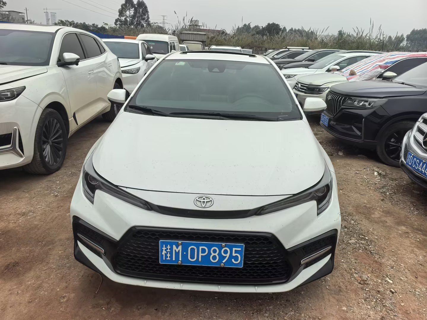 Toyota Levin 2022 imagen de coche 