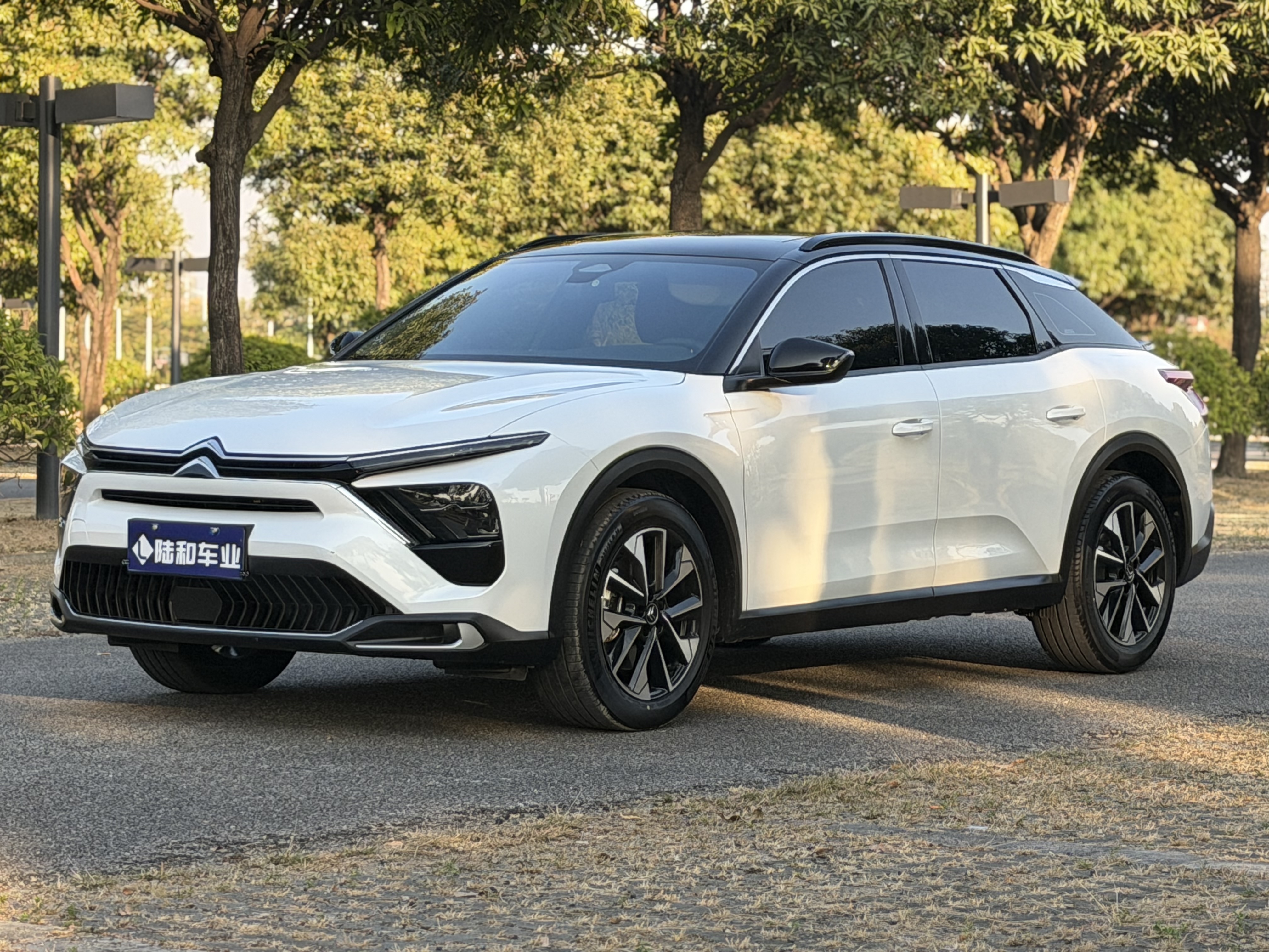 Citroen C5 X 2022 Citroen C5 X 2022 imagen de coche