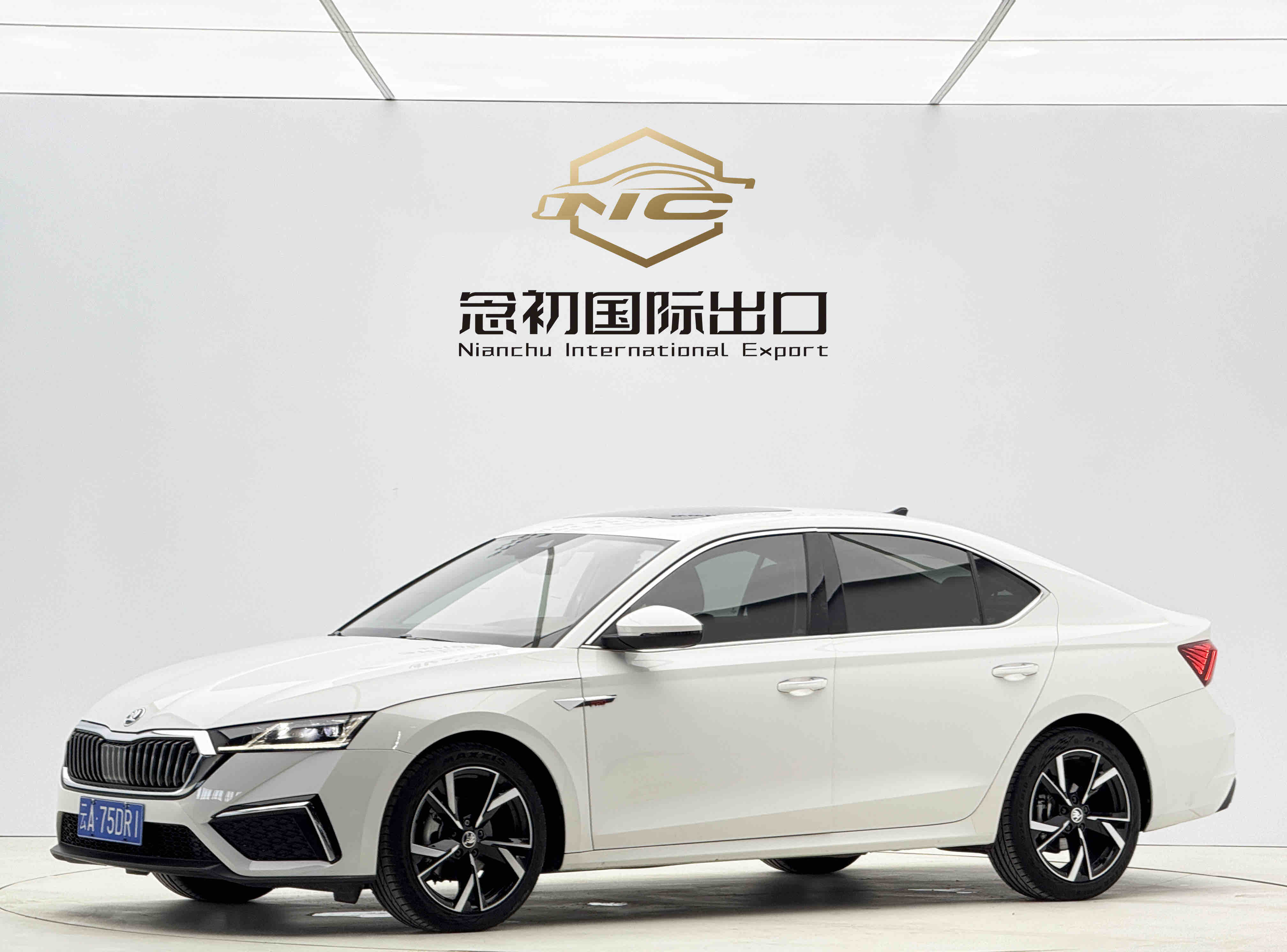 Skoda Octavia 2022 car image 