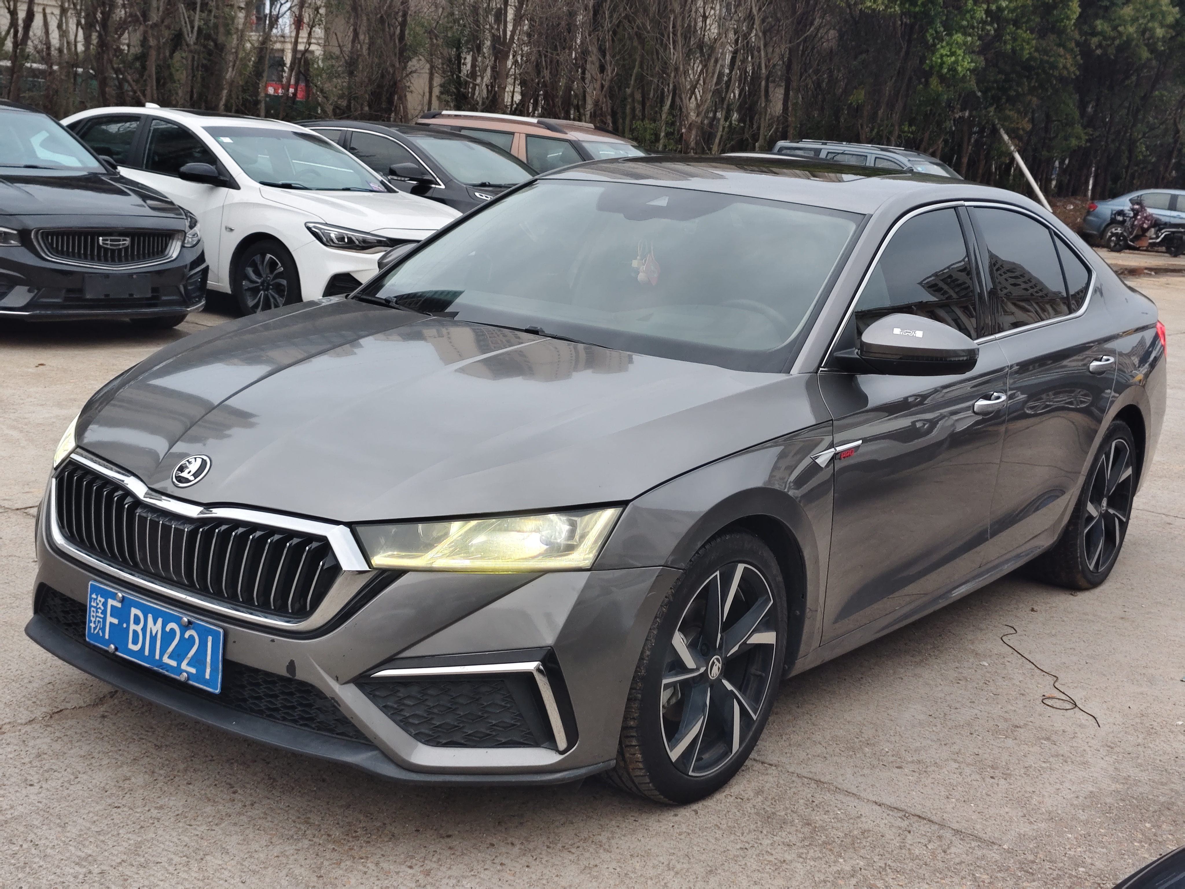 Skoda Octavia 2022 汽车图片 