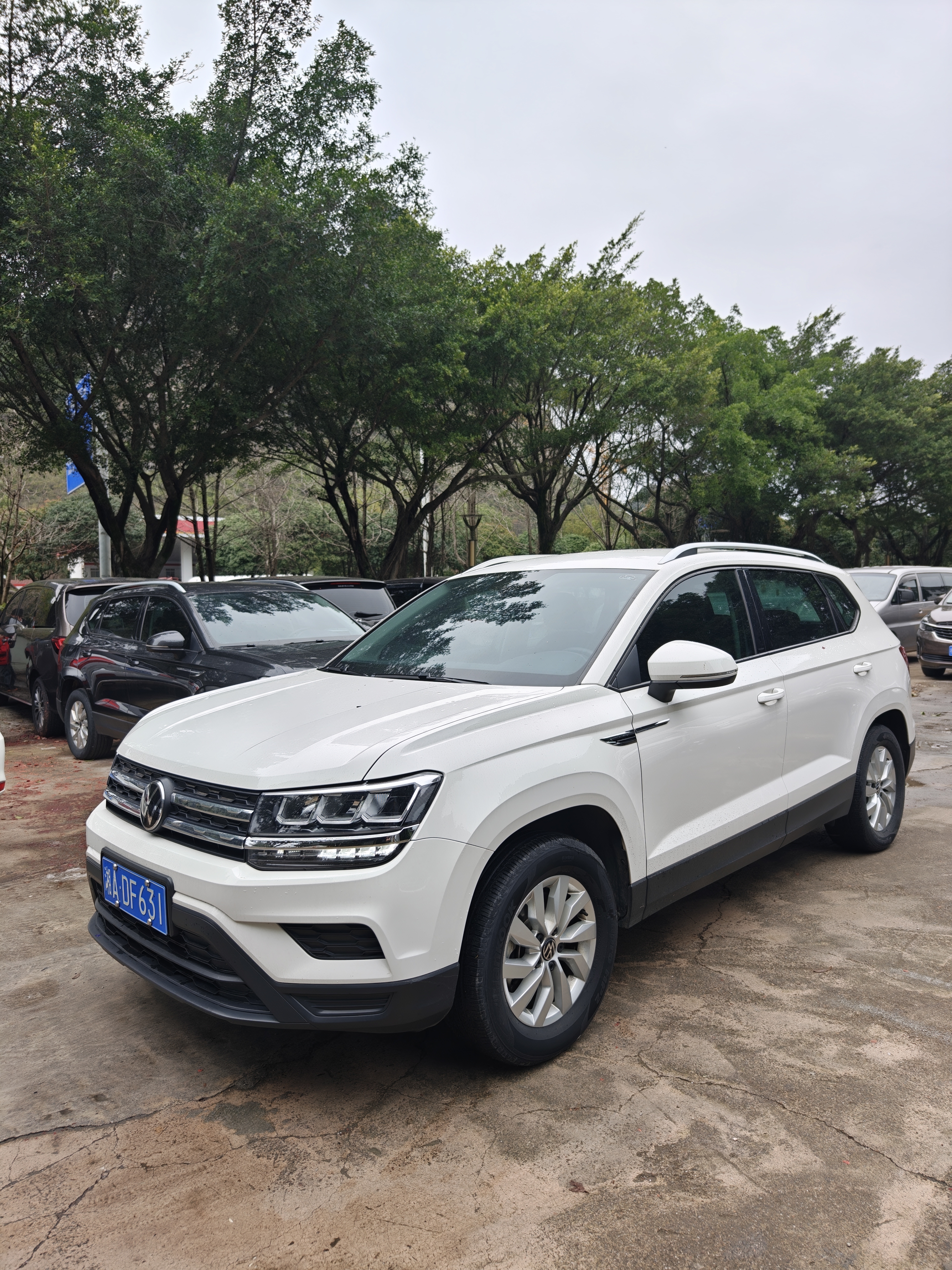 Volkswagen Tharu 2023 car image 