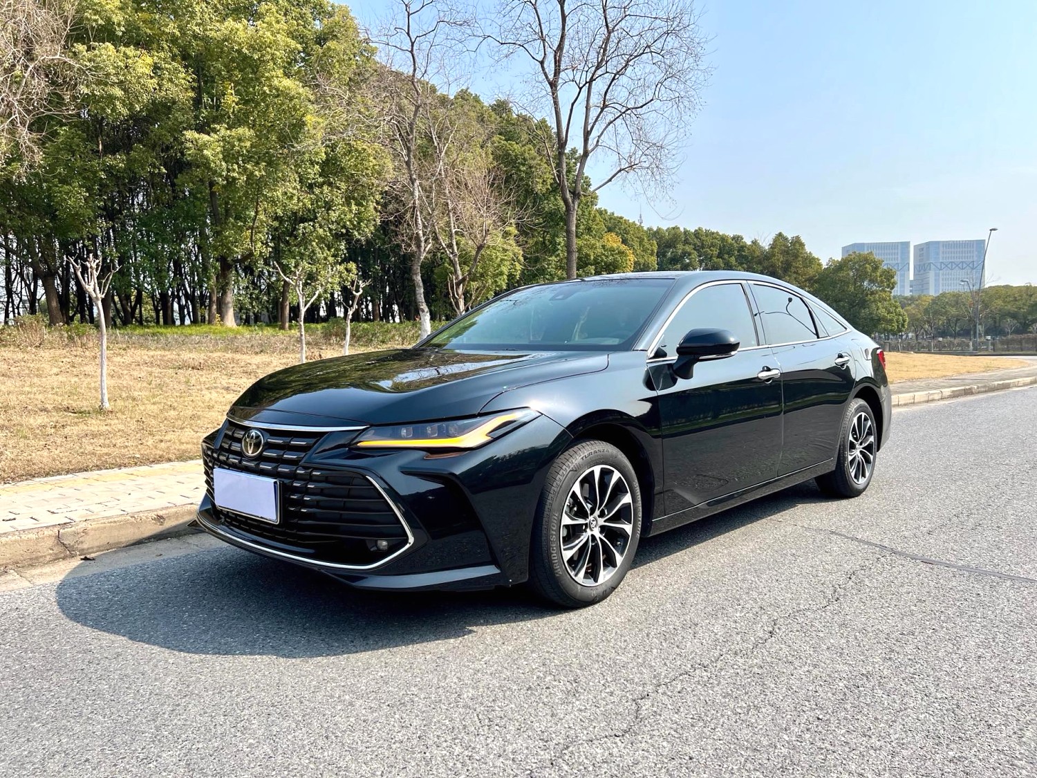 Toyota Avalon 2023 汽车图片 