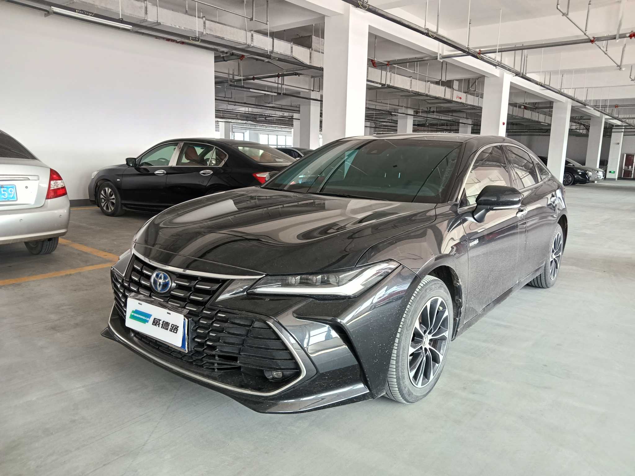 Toyota Avalon 2023 汽车图片 