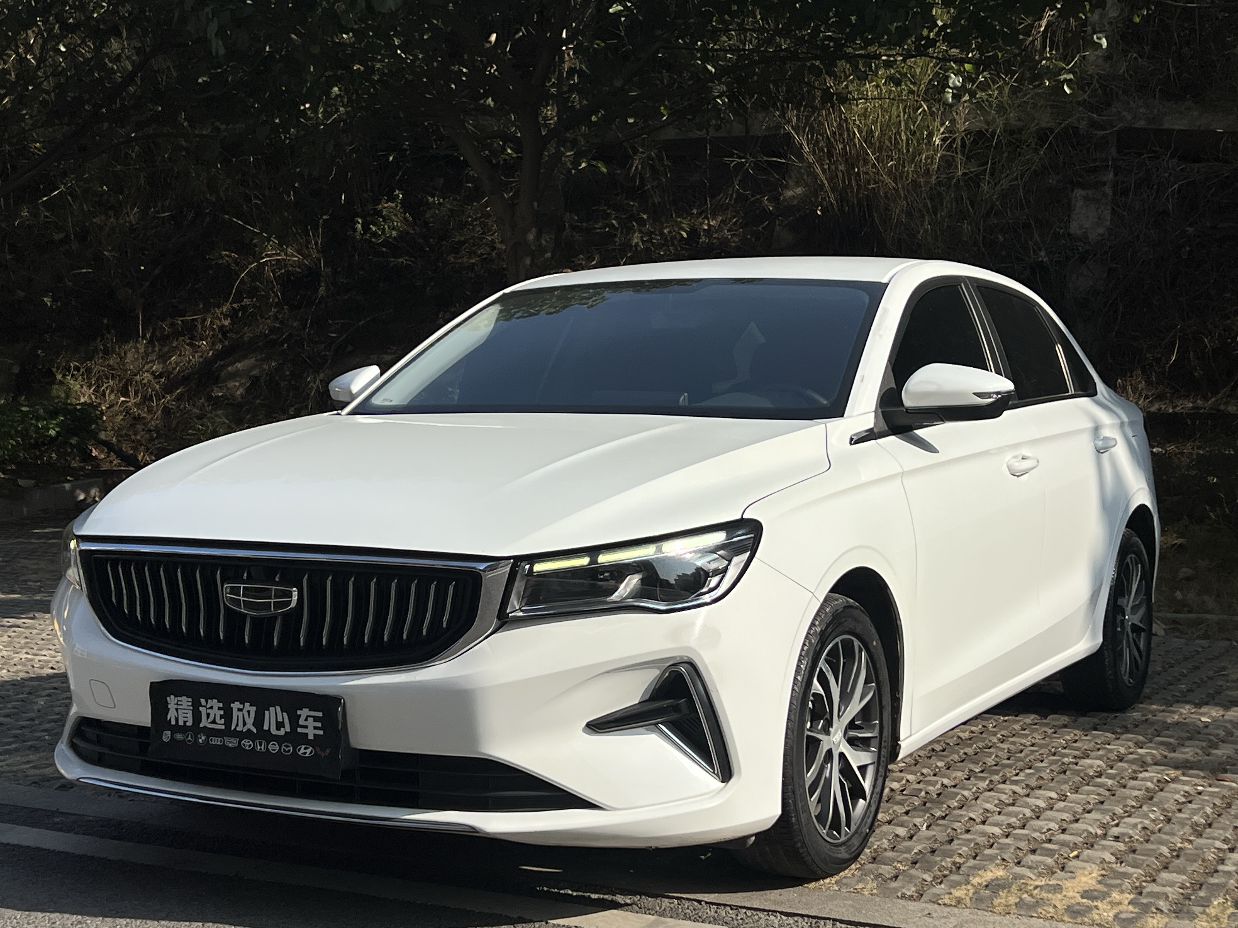 Emgrand 2023 car image 