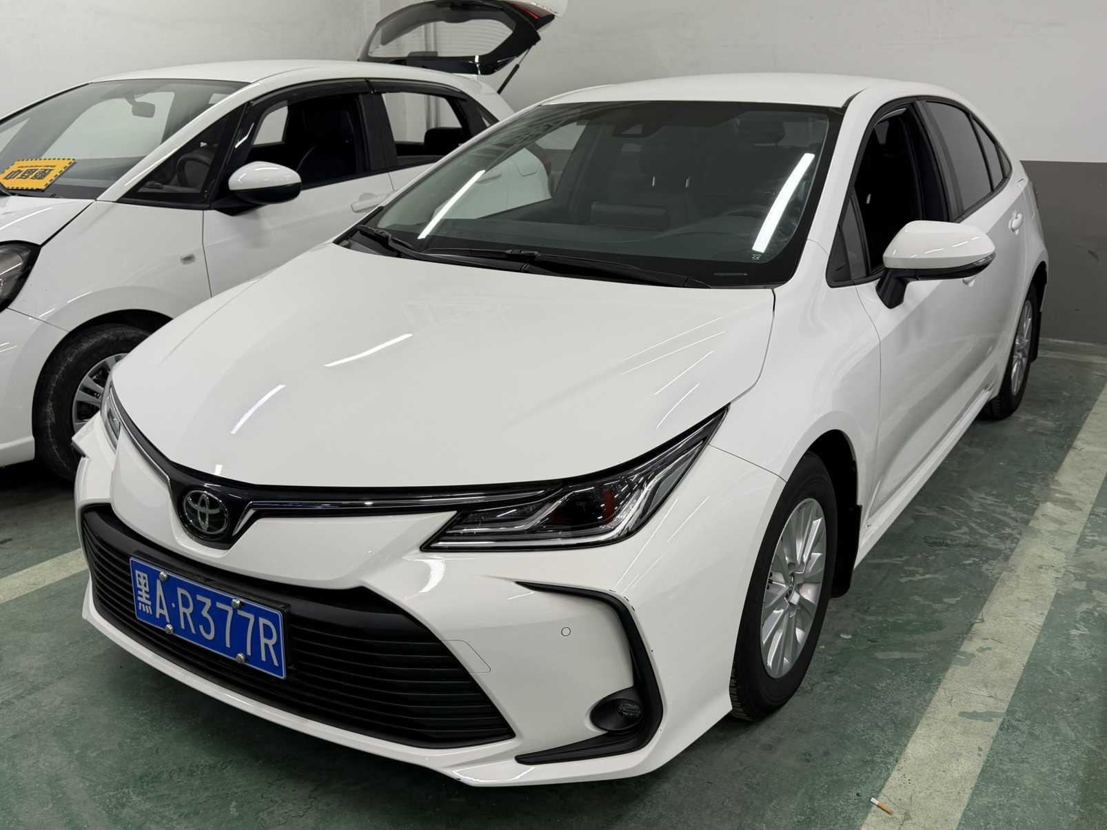 Corolla 2023 car image 