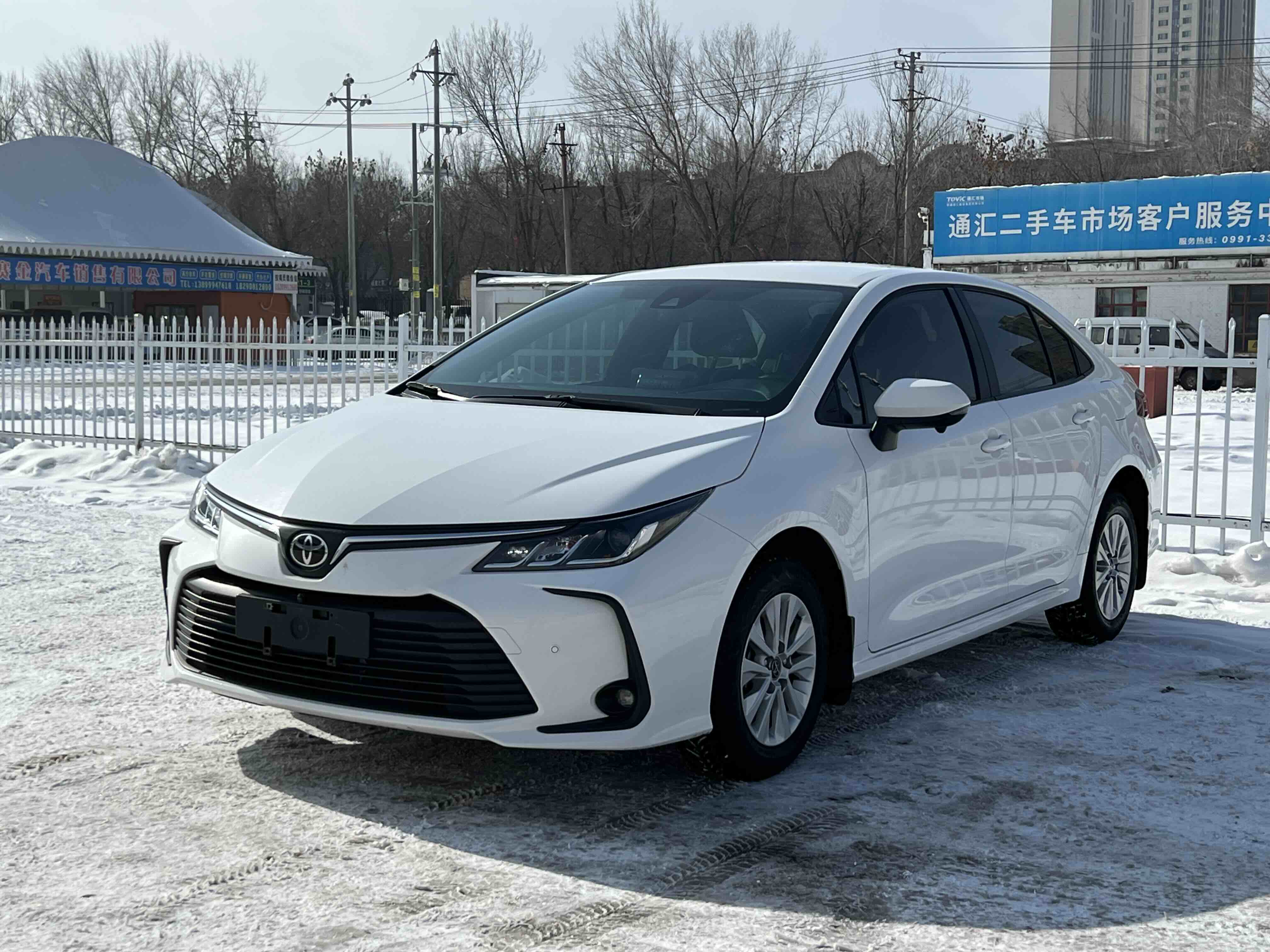 Toyota Corolla 2023 car image 